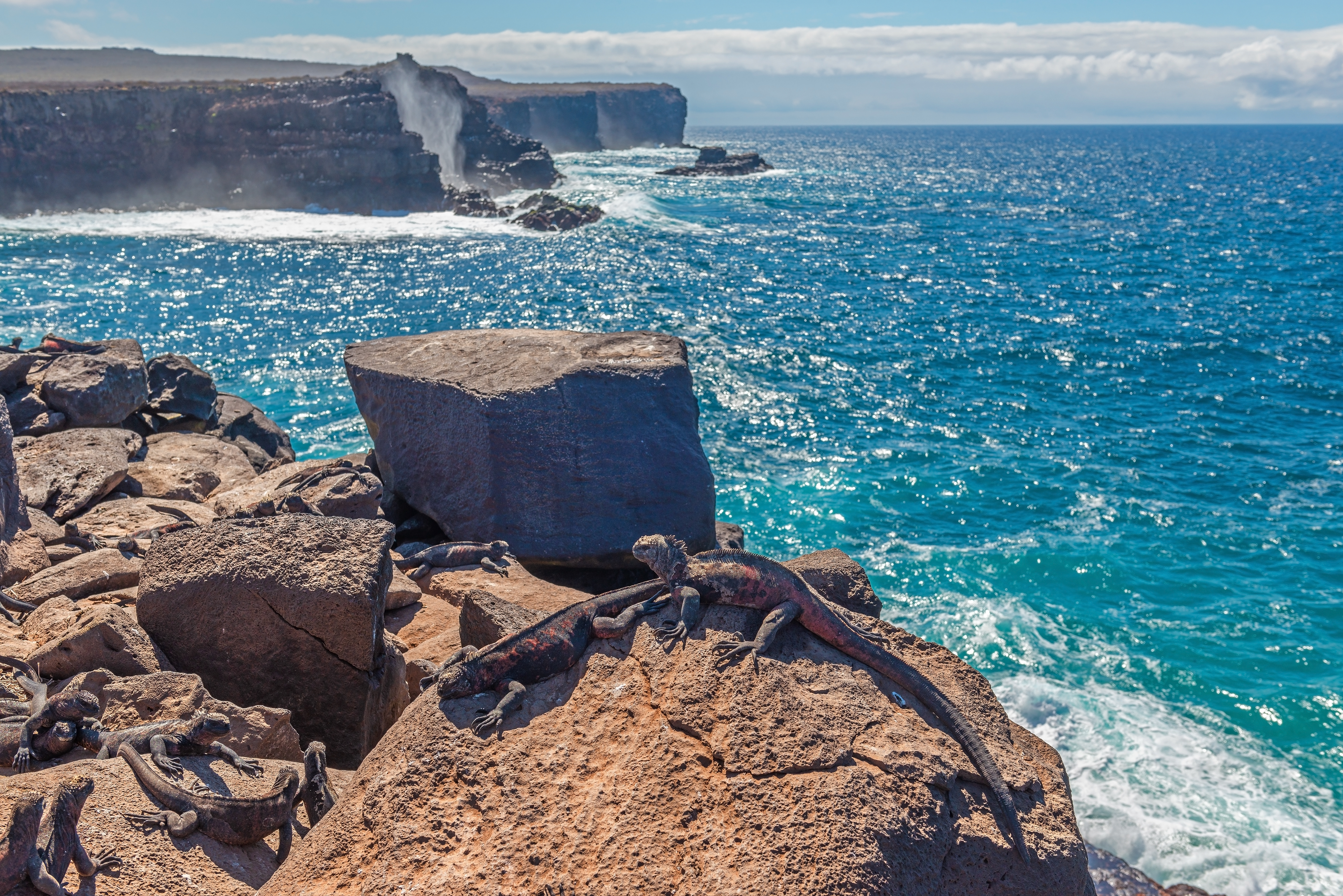 Hike to the blowhole and vistas of Suarez Point
