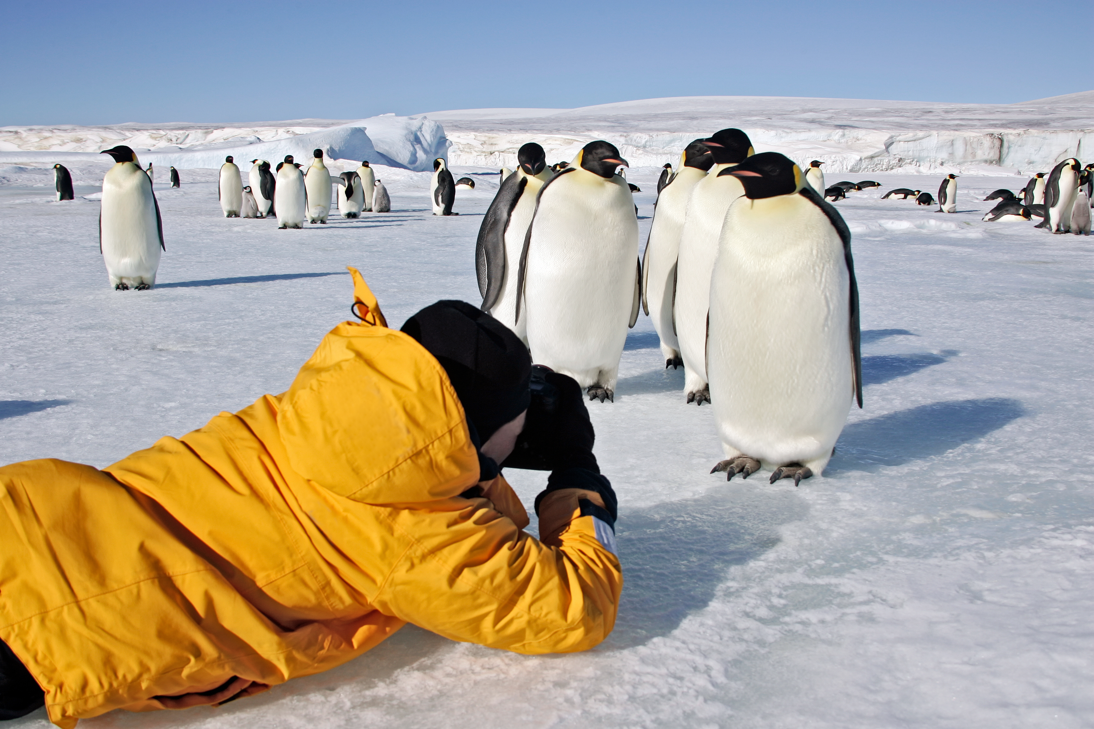 Enjoy photographic opportunities in Antarctica