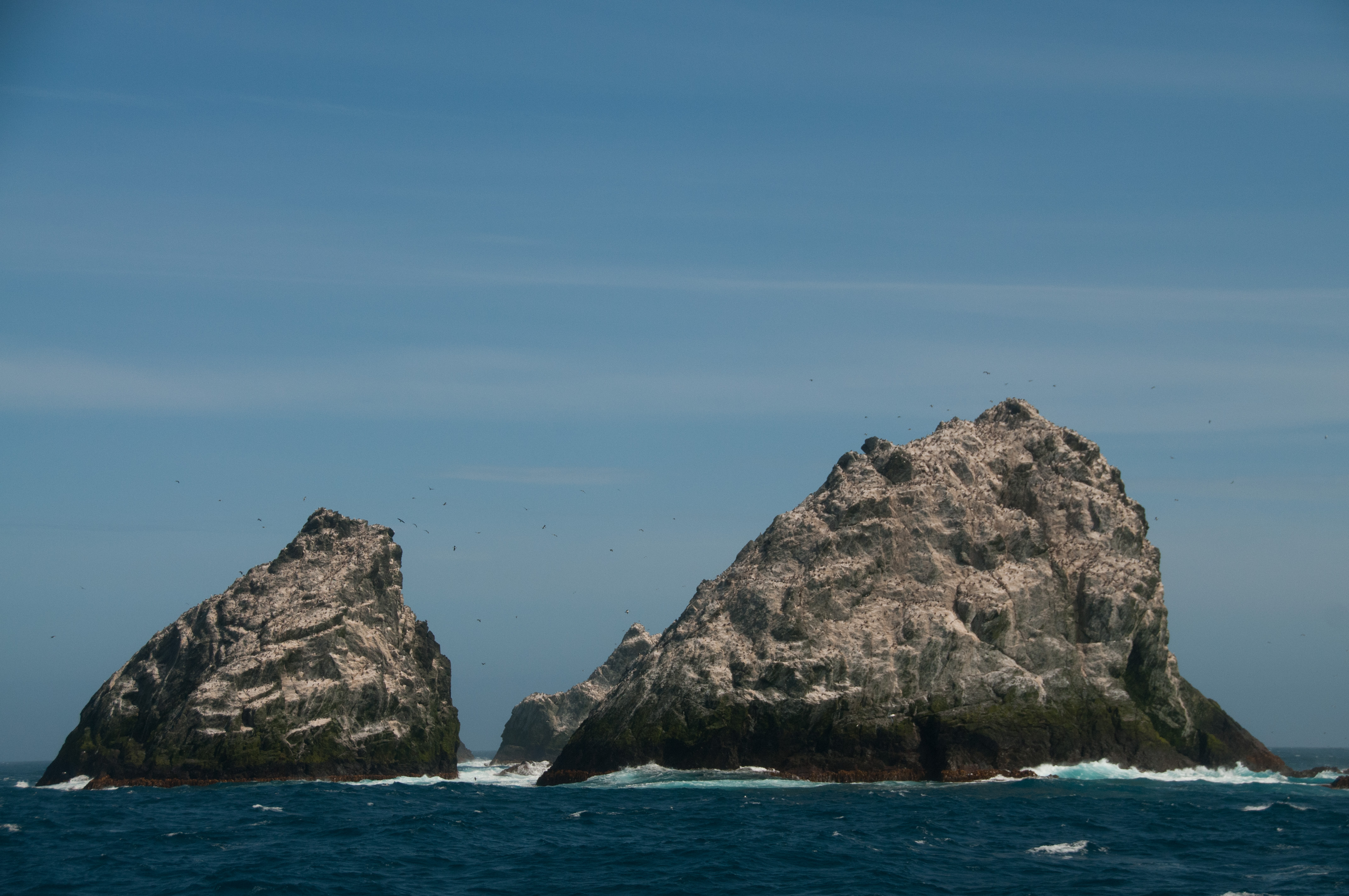 Spot birds near Shag Rocks in Antarctica