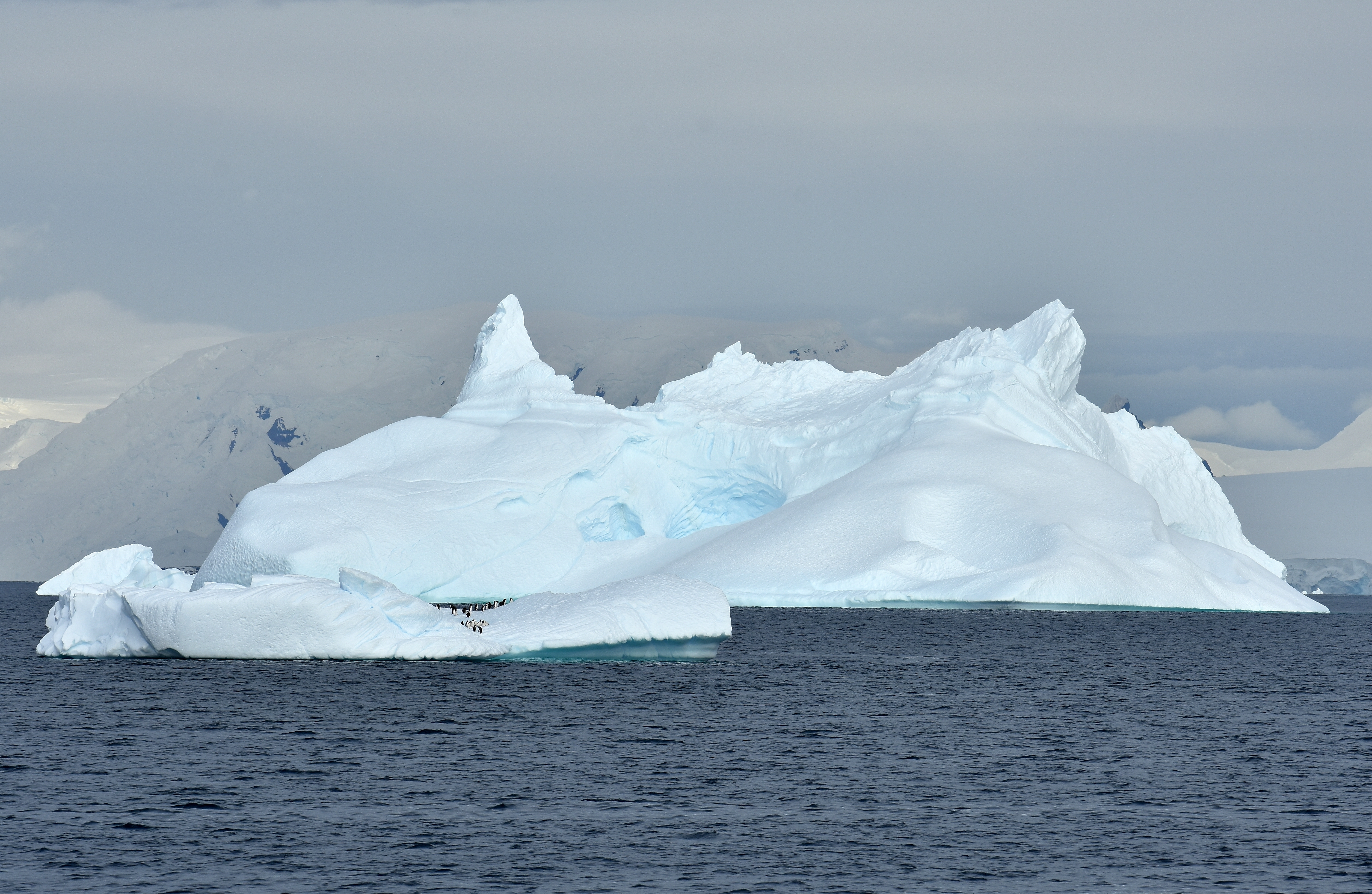 Venture into the Antarctic Polar Circle