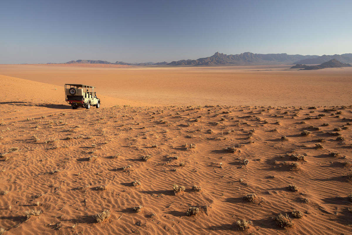 Take a drive through the red dunes of NamibRand