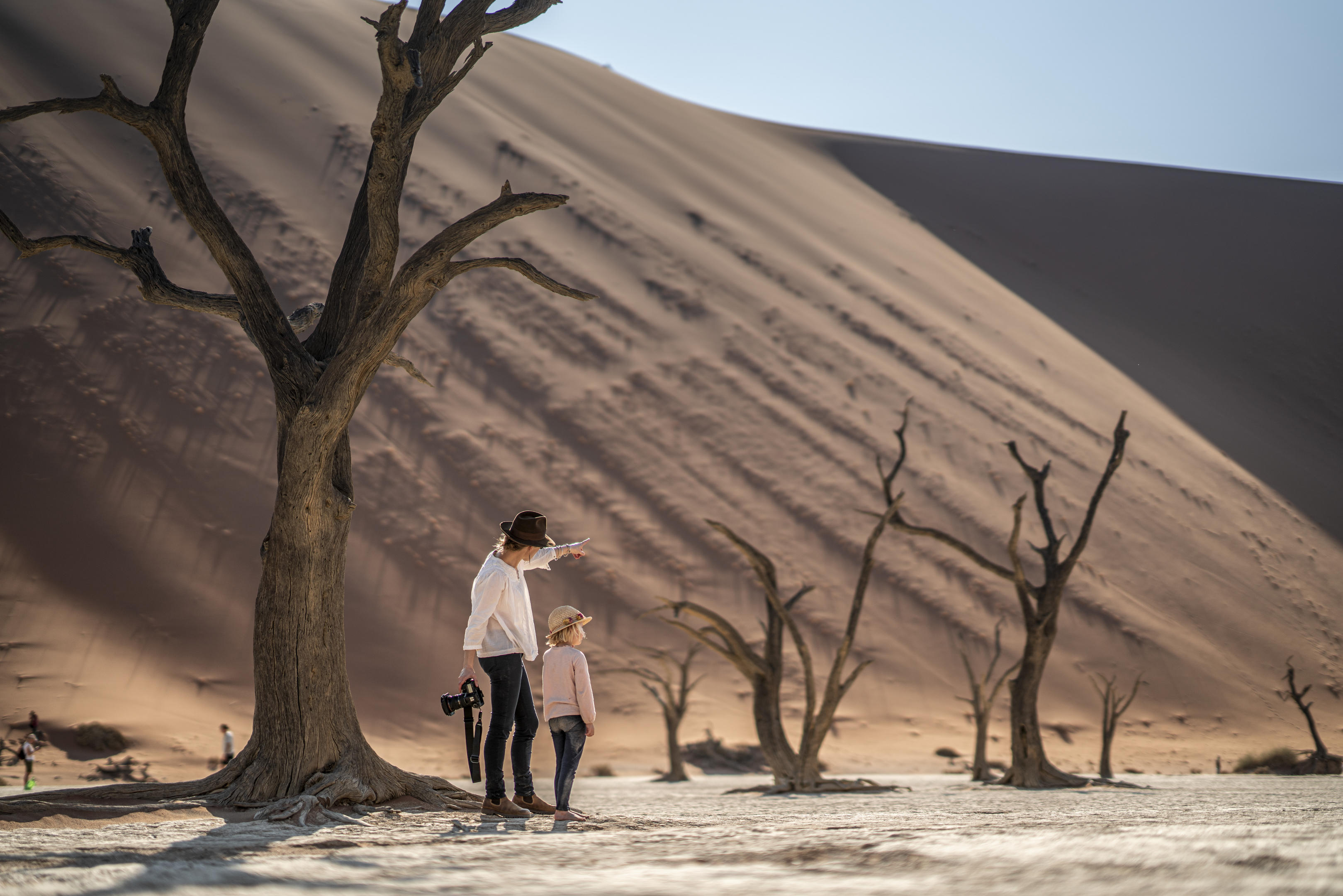 Take a trip to the Deadvlei and Big Daddy dune