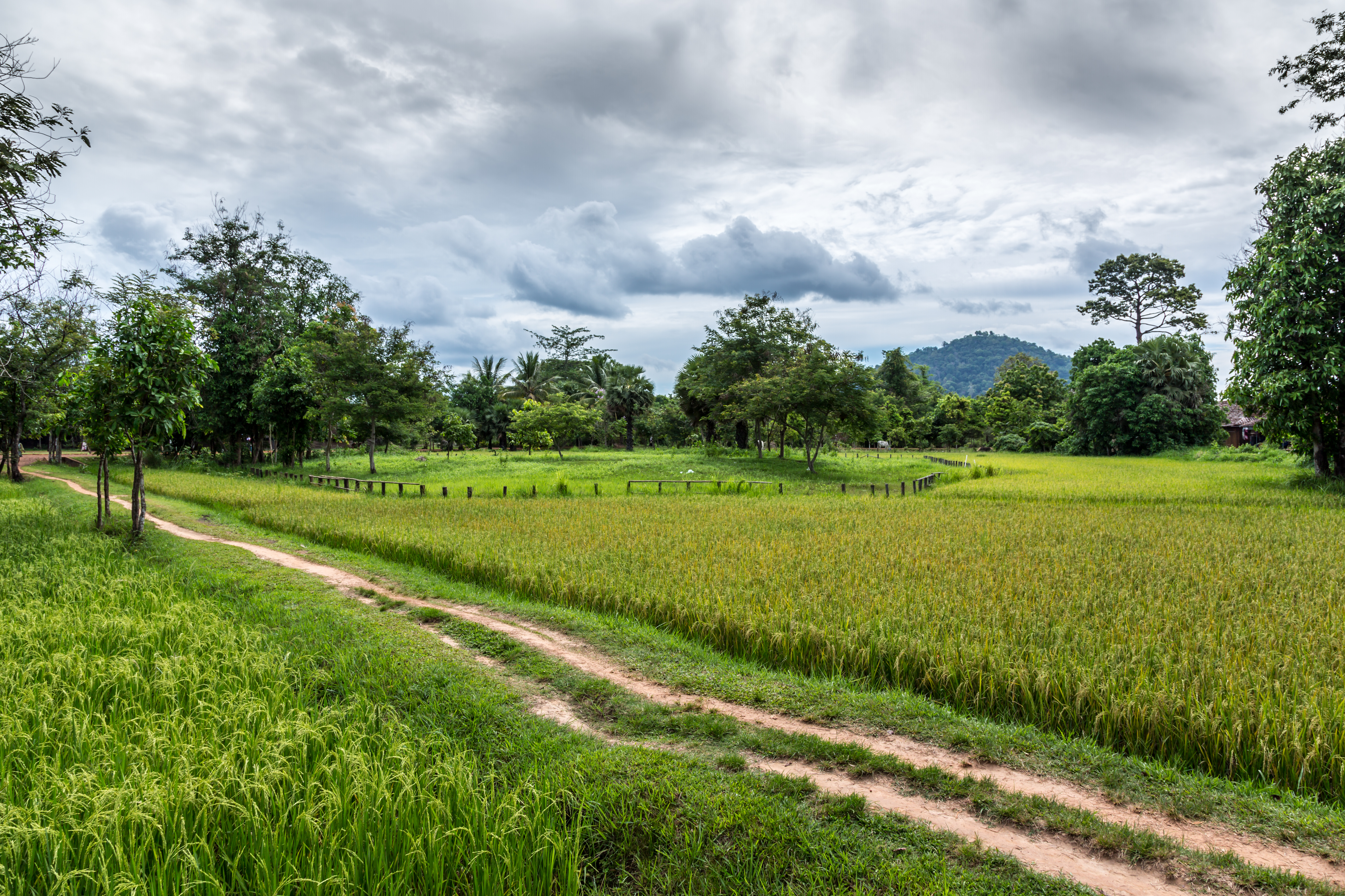 Explore the countryside of Siem Reap