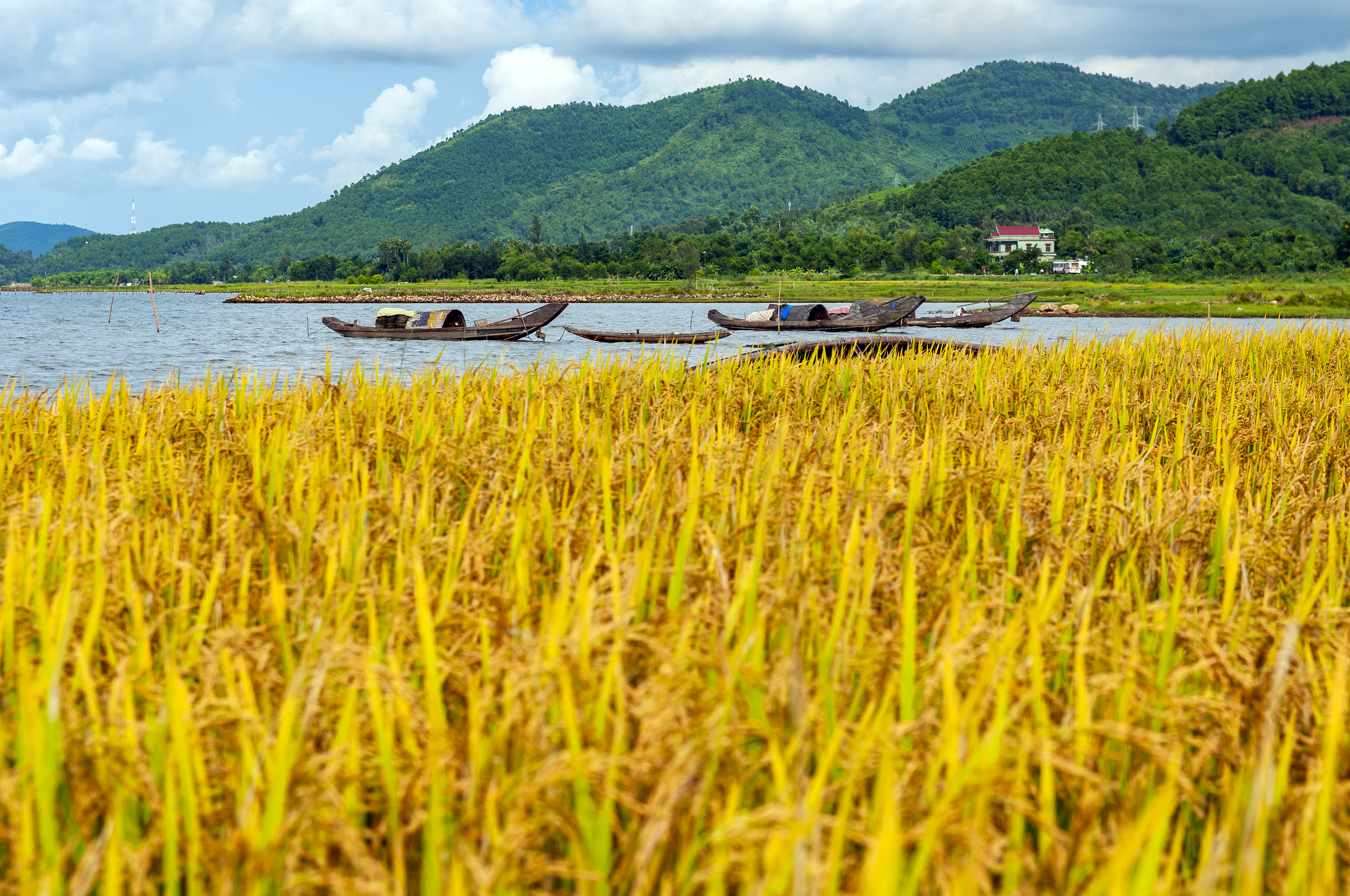 Explore the rural countryside of Hue
