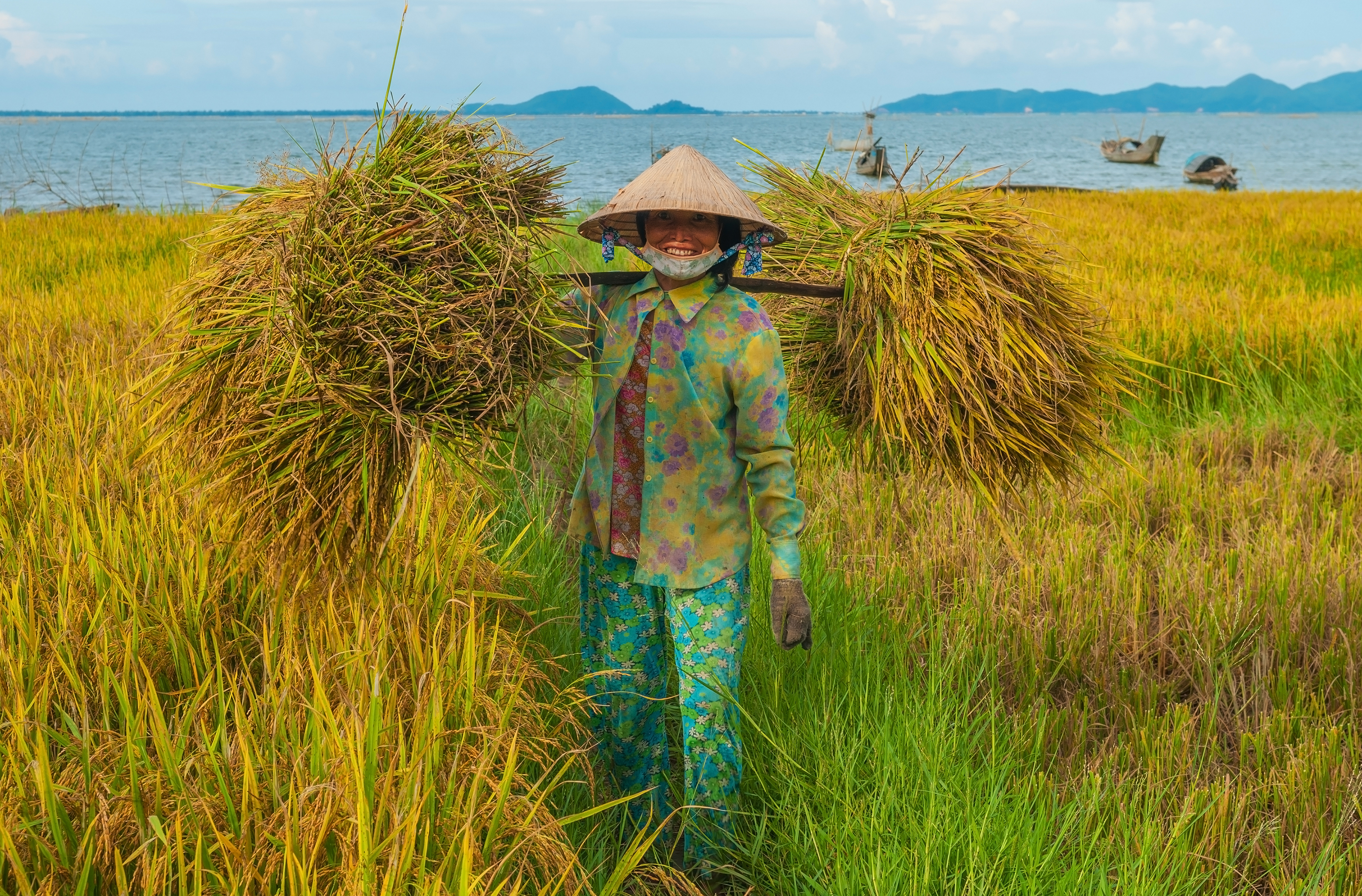 Learn About Rice Conservation With Locals In Hue | Timbuktu Travel