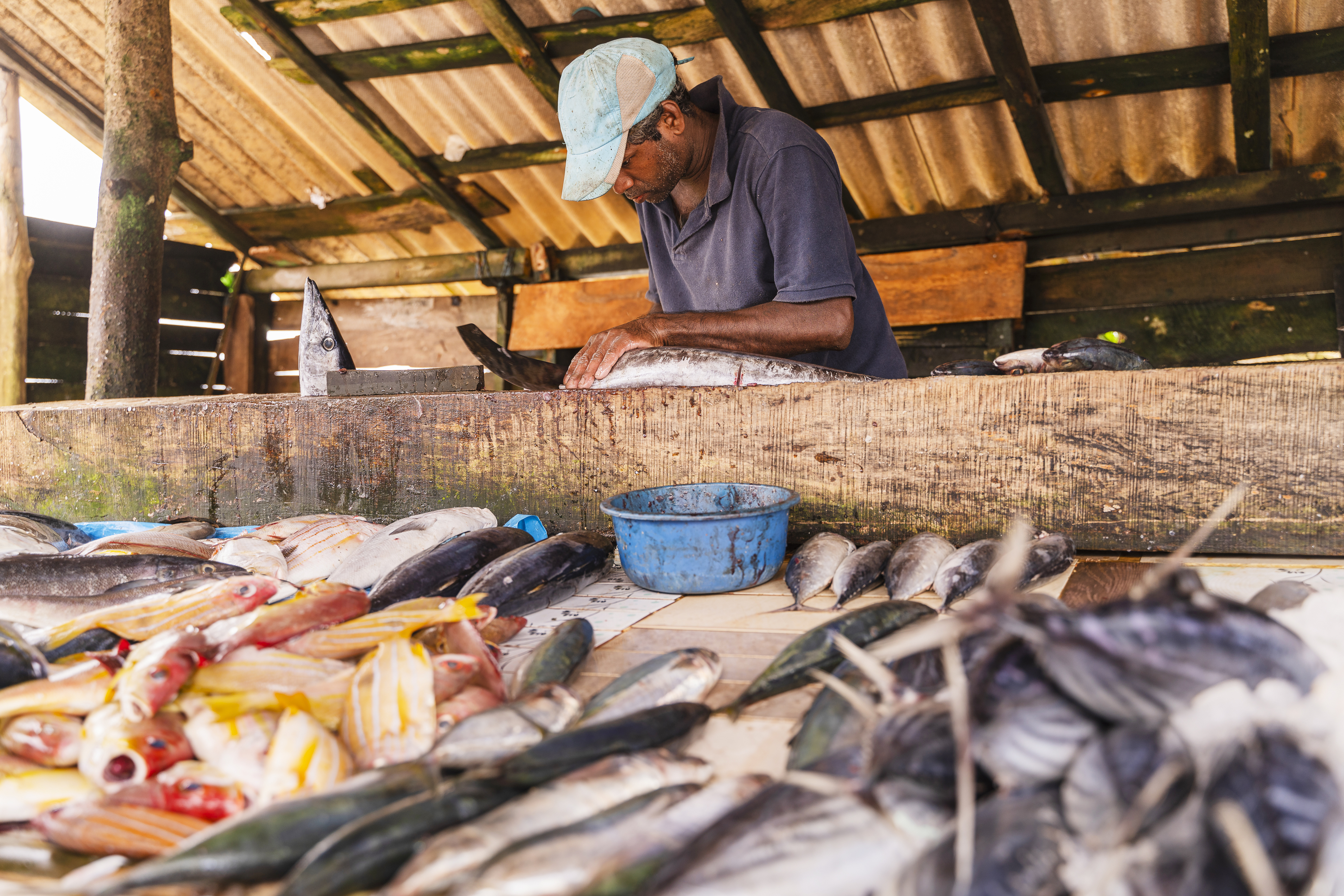 Admire the days catch at the Bentota fish market