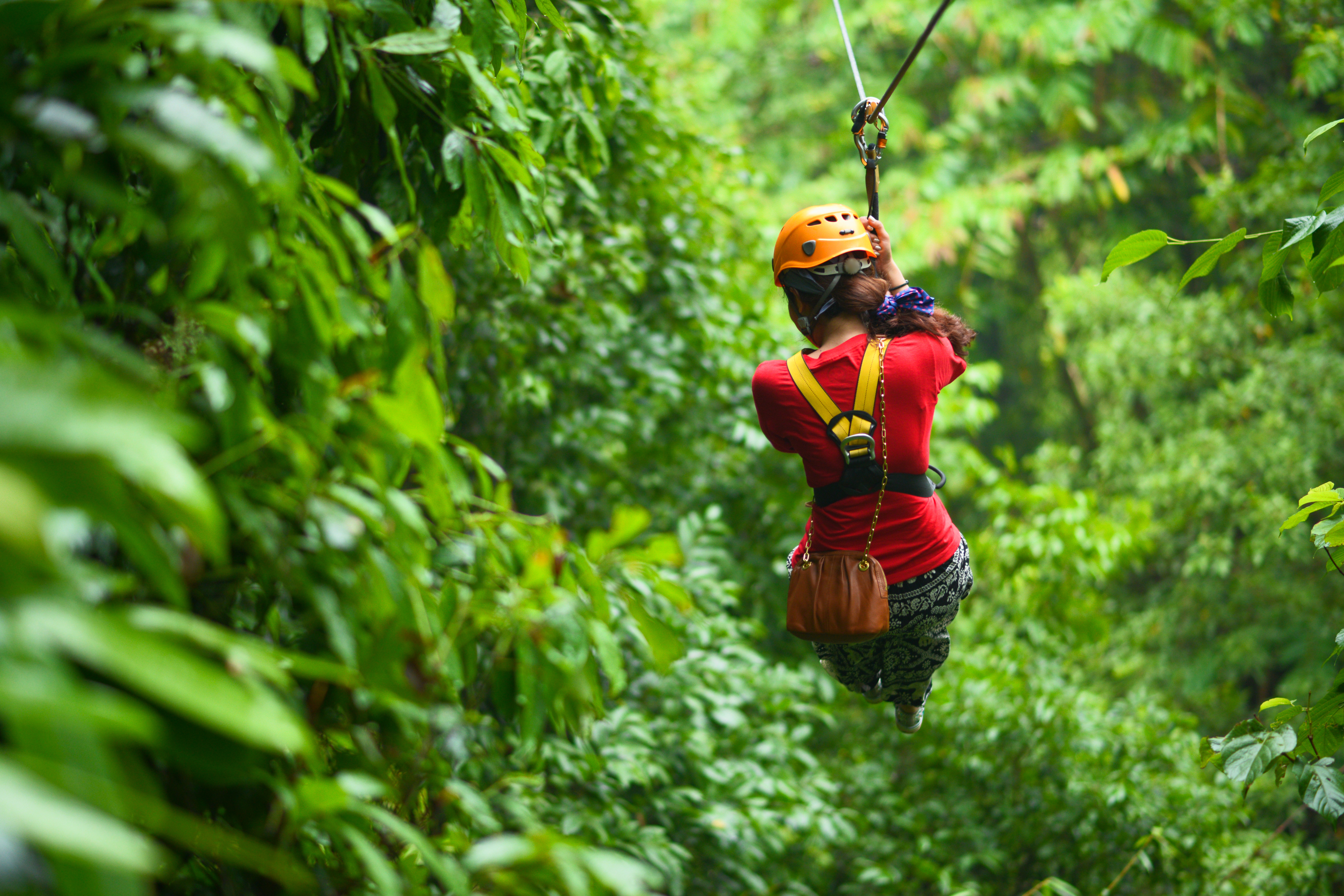 Take a canopy tour zip lining through the trees
