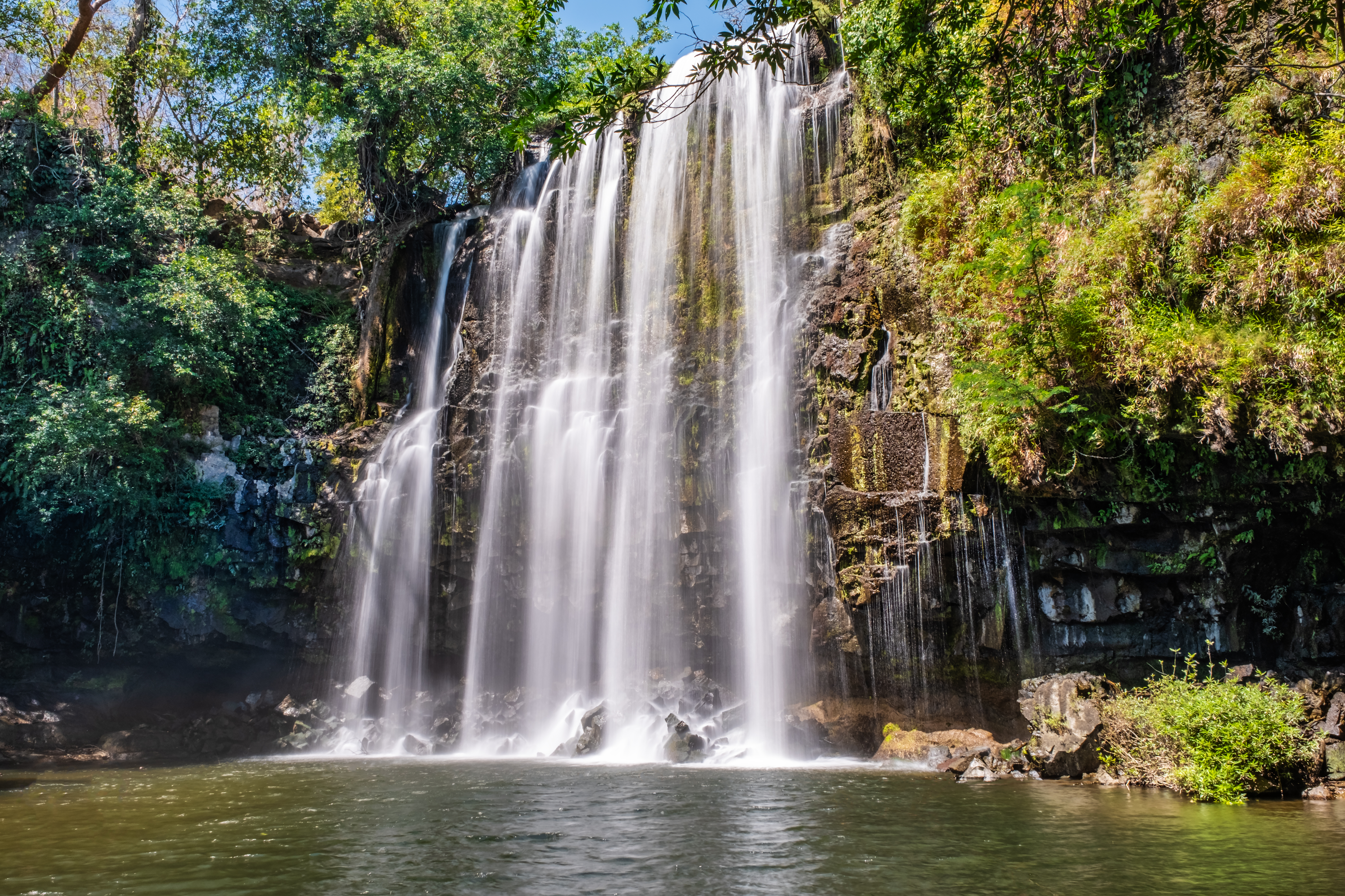 Take a boat safari down the Bebedero River