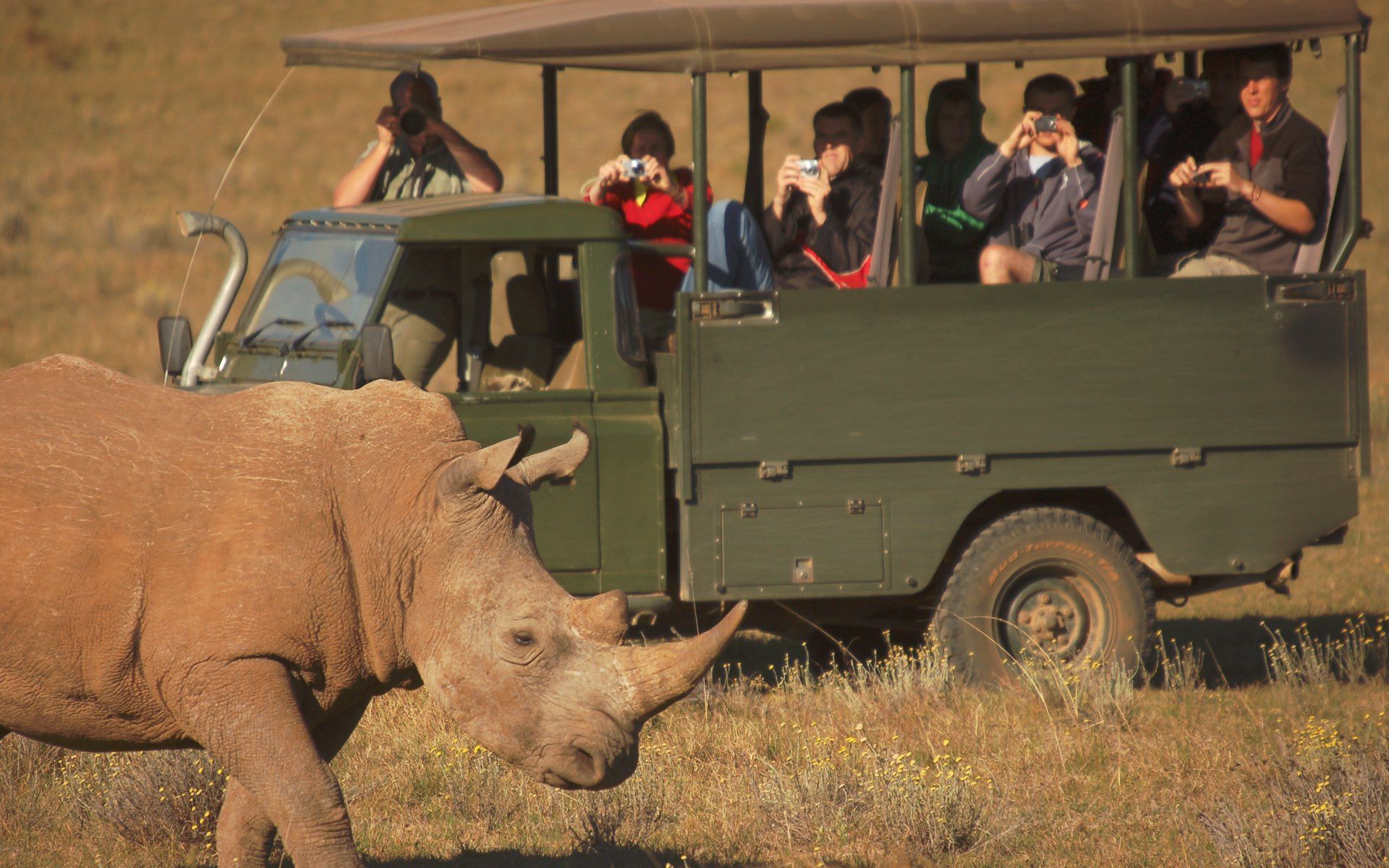 Go on a Schotia Tooth & Claw Safari