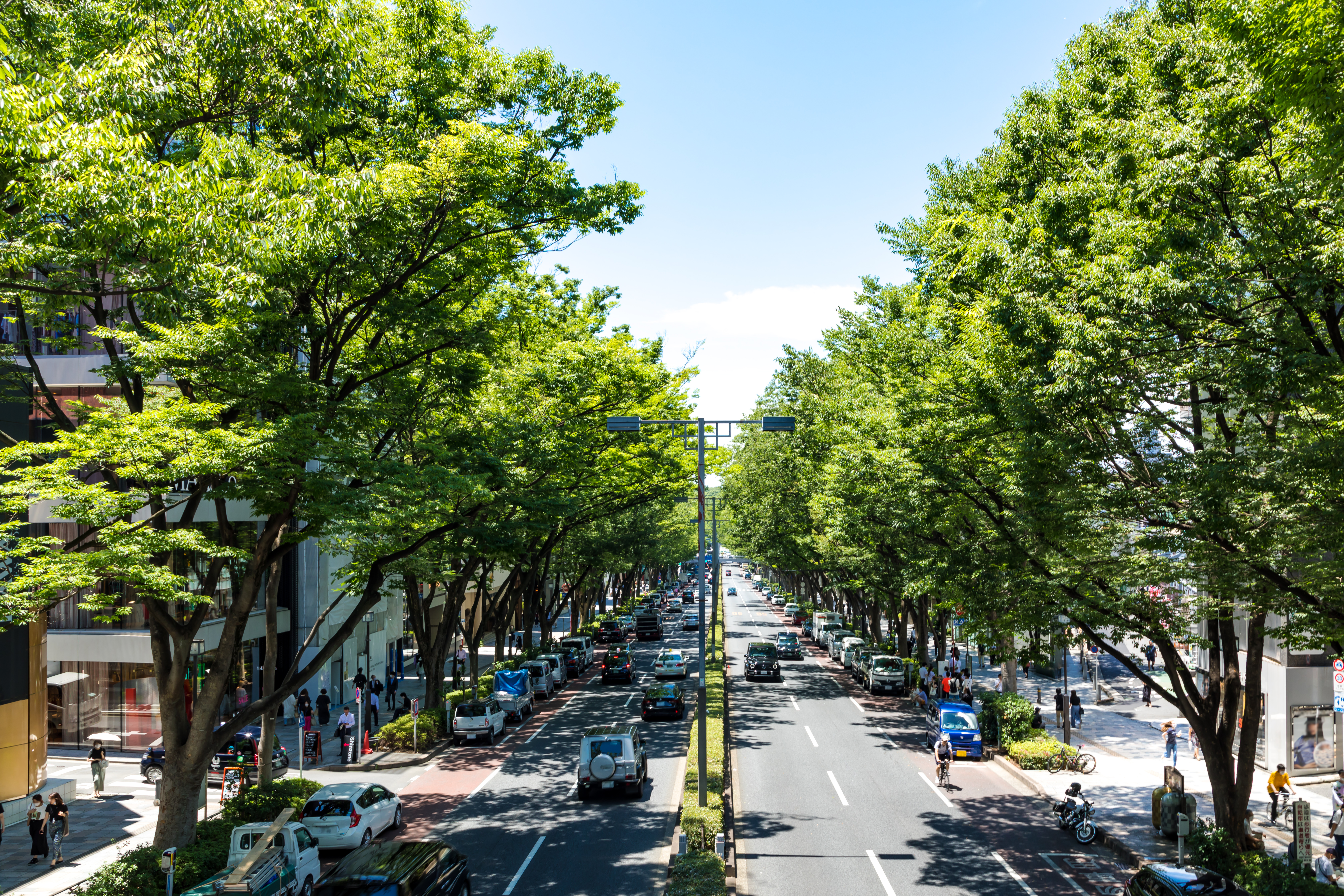 Stroll down Tokyo's Trendy Omotesando Street