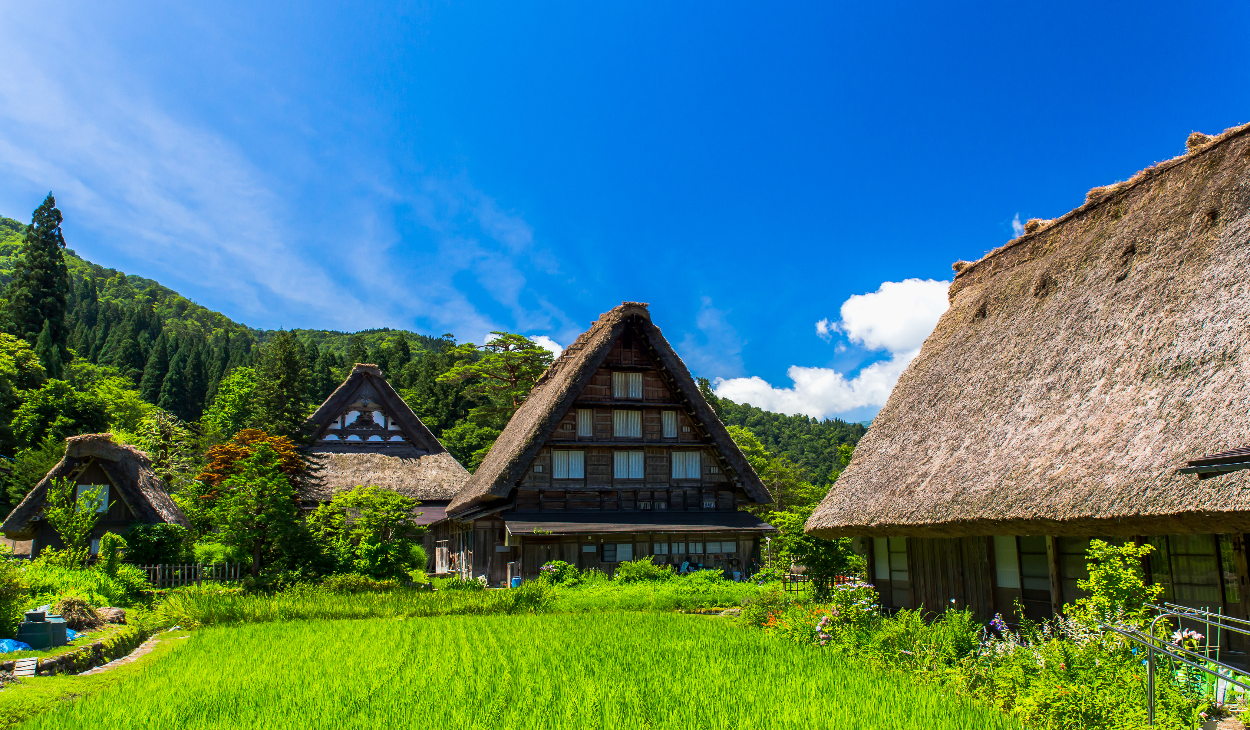 Explore Shirakawago's iconic grass houses