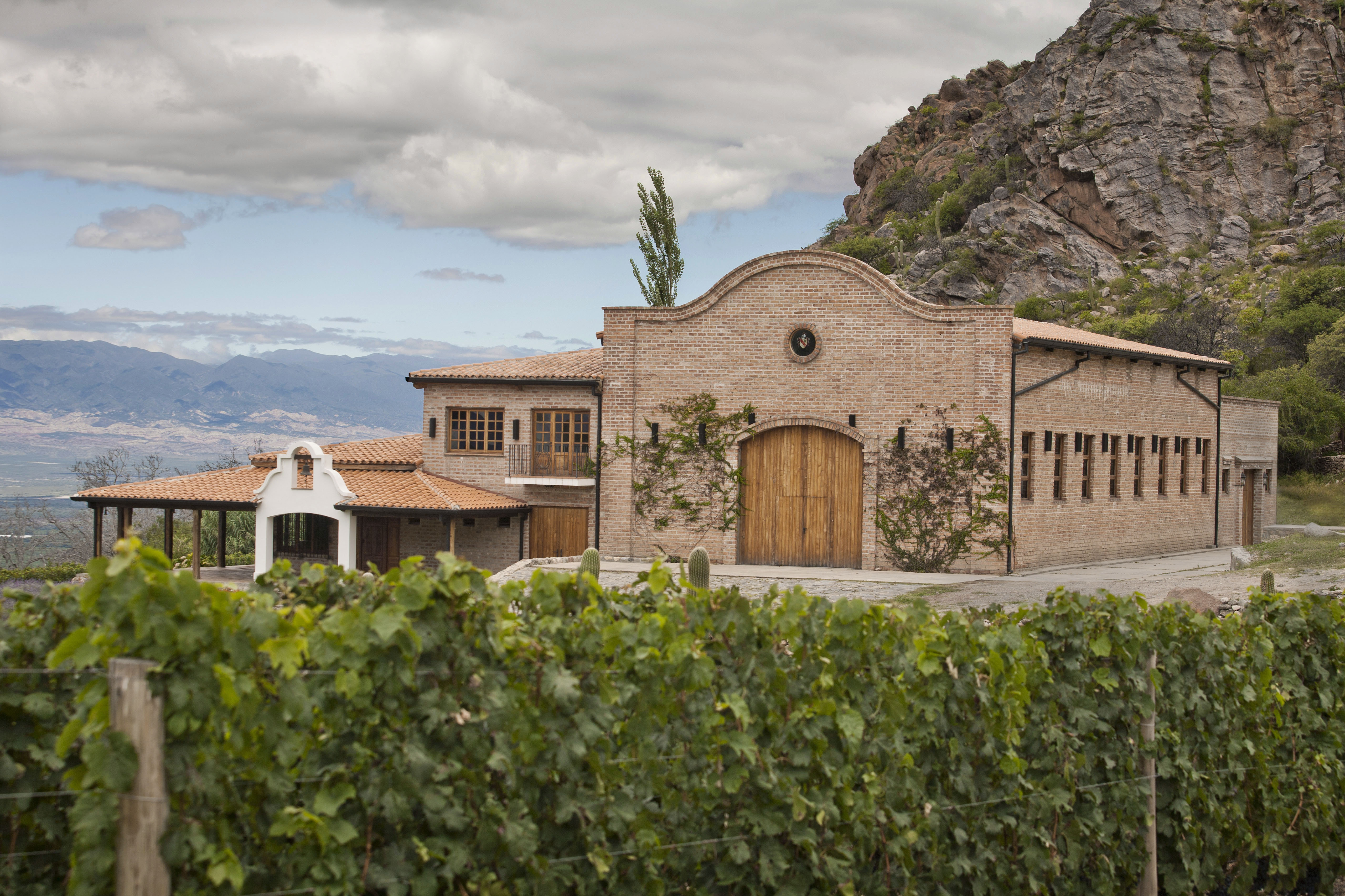Go wine tasting at San Pedro de Yacochuya
