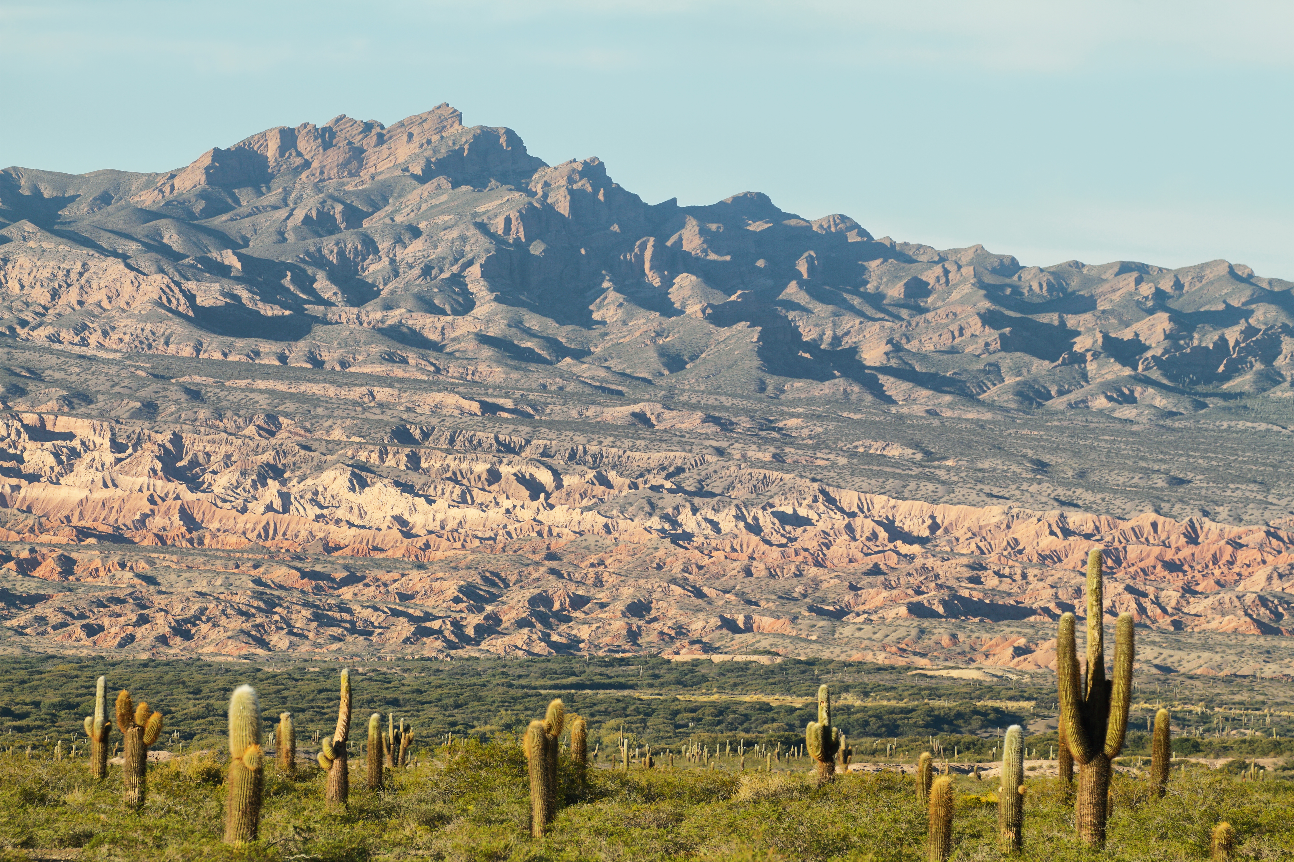 Explore Los Cardones National Park