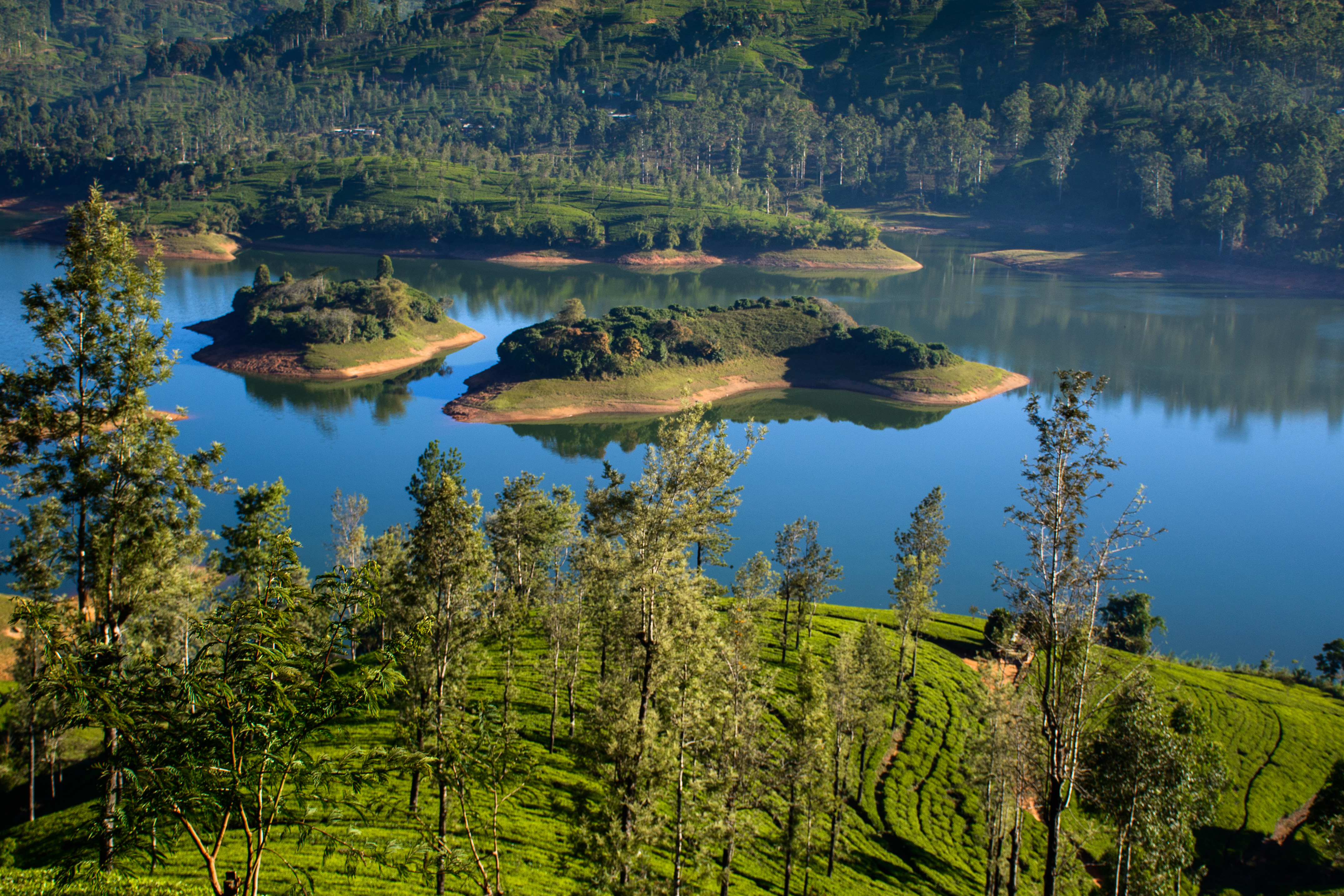 Go kayaking on the picturesque Castlereagh Lake 