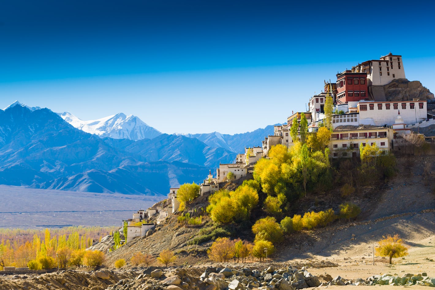 Take a heritage walk through the Old Town of Leh | Timbuktu Travel