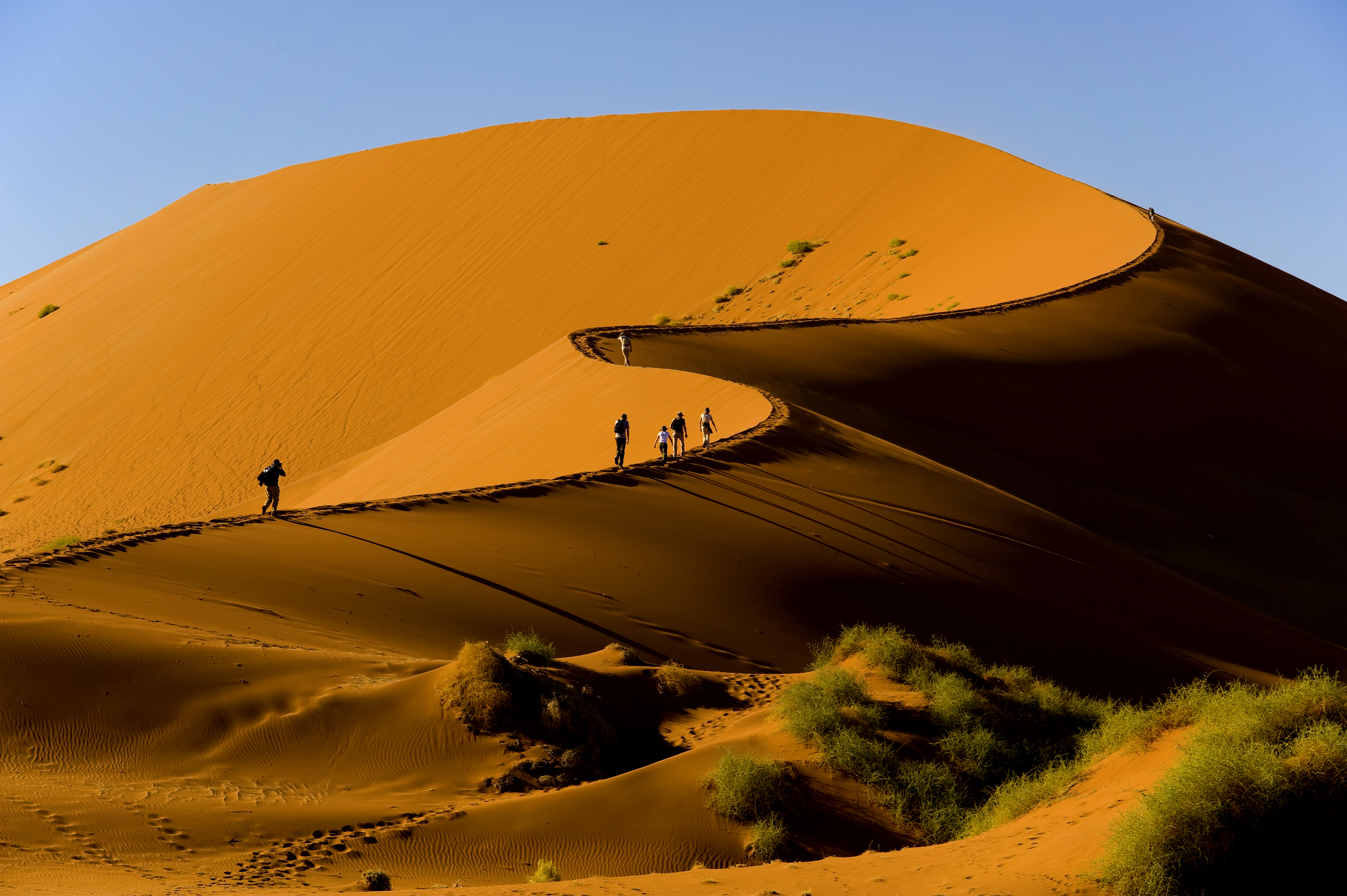 Summit the dunes of NamibRand Nature Reserve
