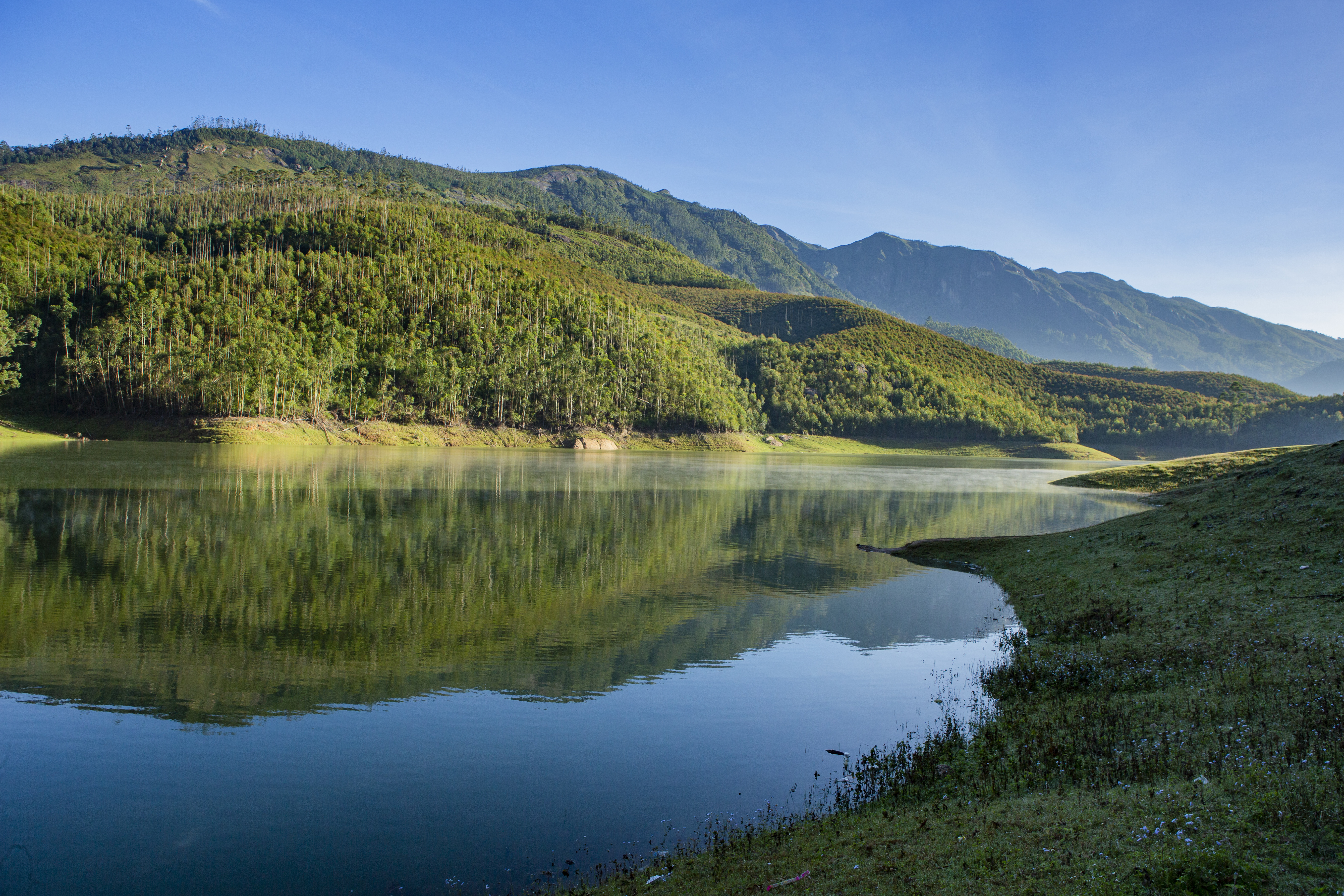 Visit the scenic Mattupetty Dam in Munnar