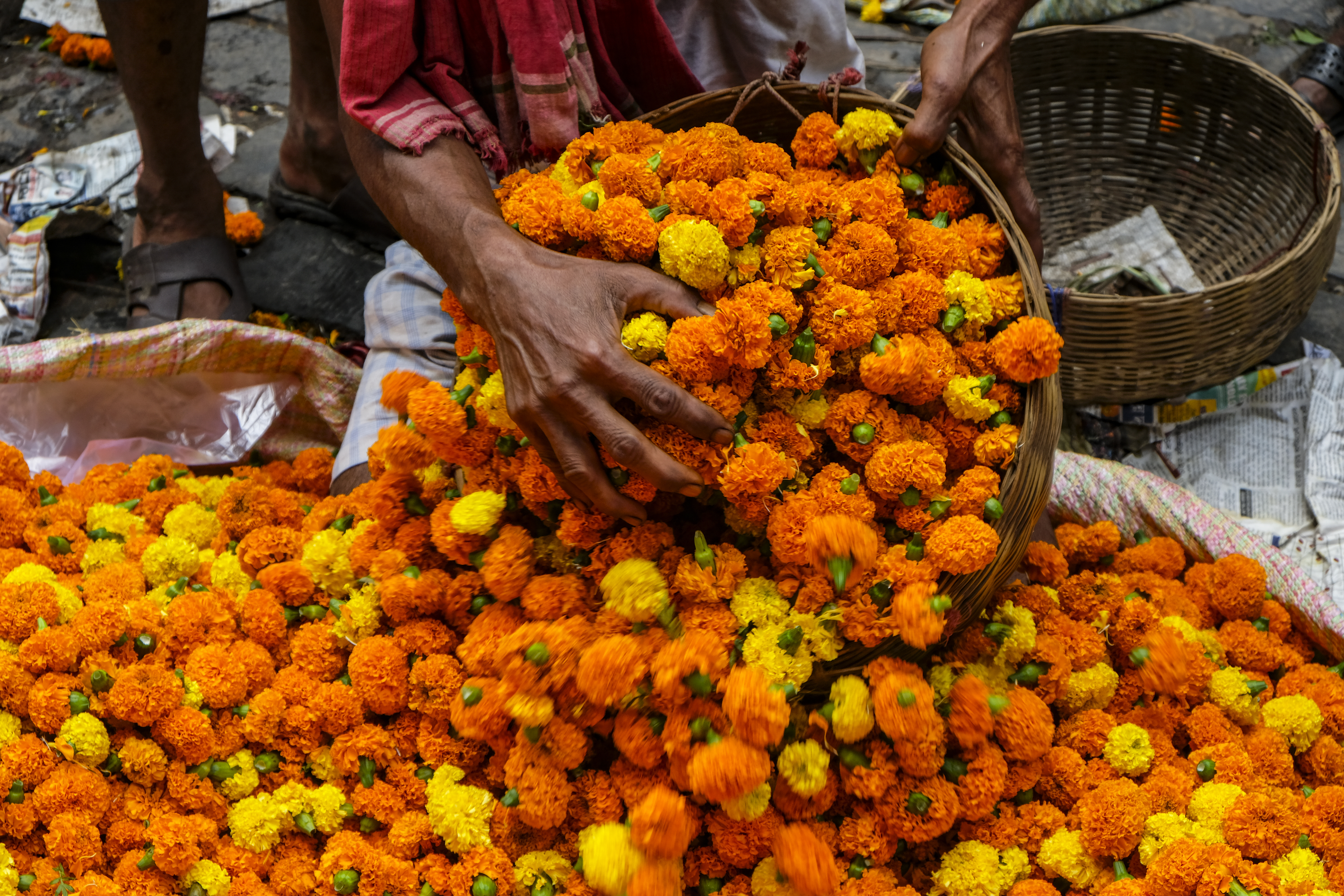 Explore the Madurai flower market