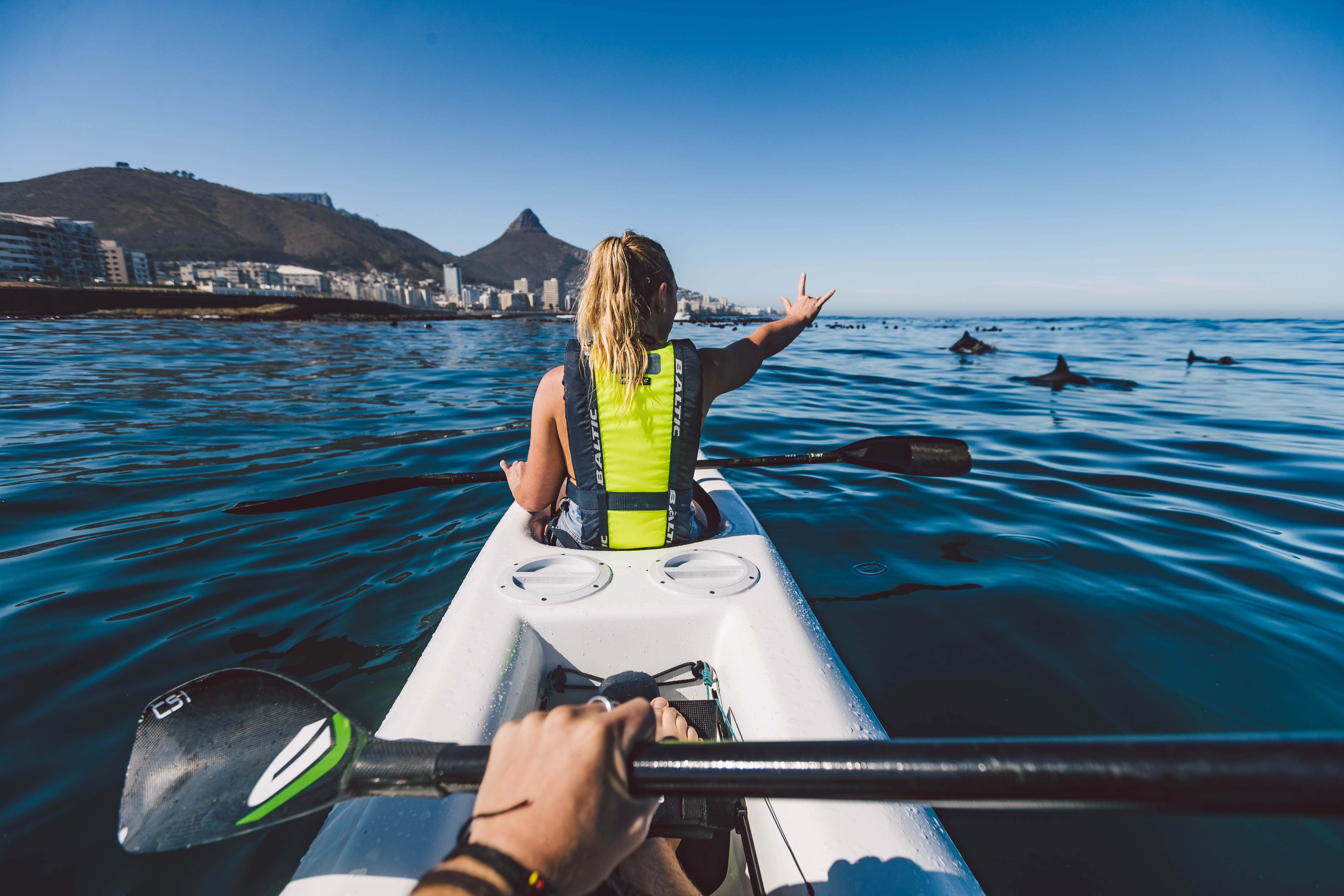 Kayak next to dolphins at Cape Town's Waterfront