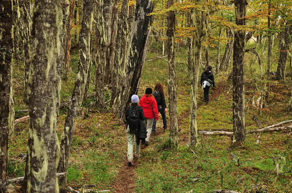 Hiking to Mallín Colorado lagoon