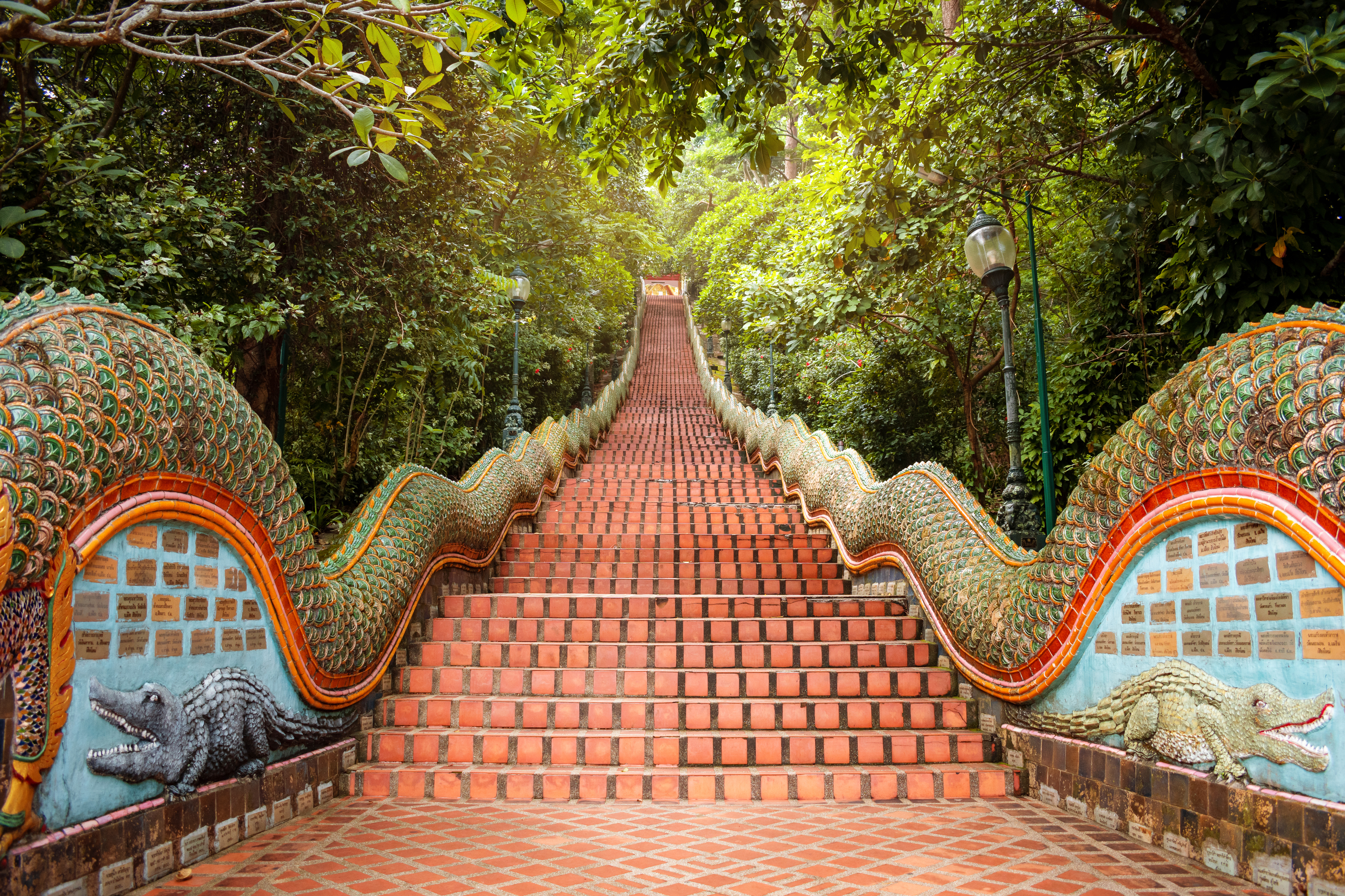 Walk up the Doi Suthep Temple stairs in Chiang Mai