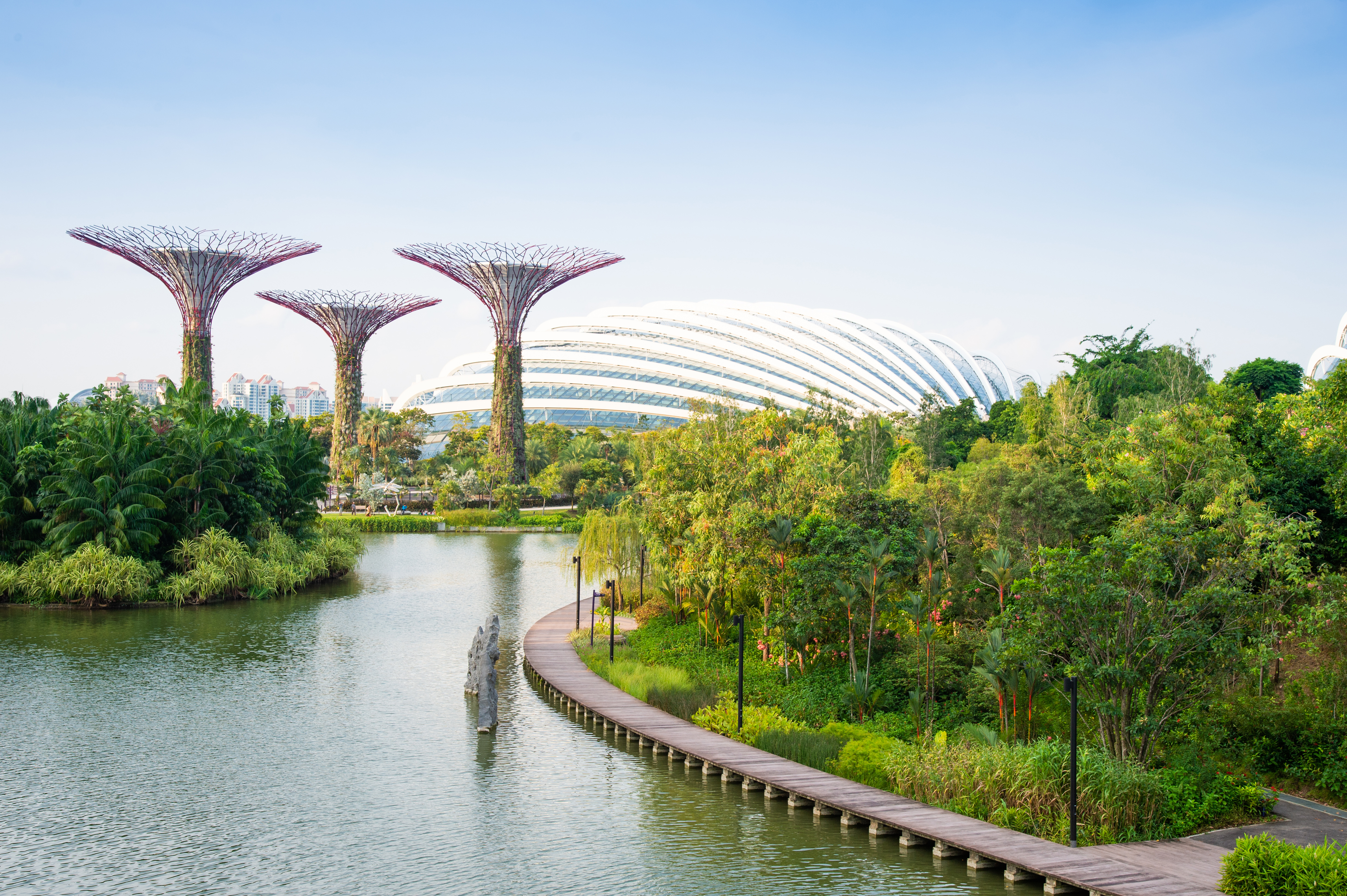 Explore the iconic Gardens by the Bay, Singapore