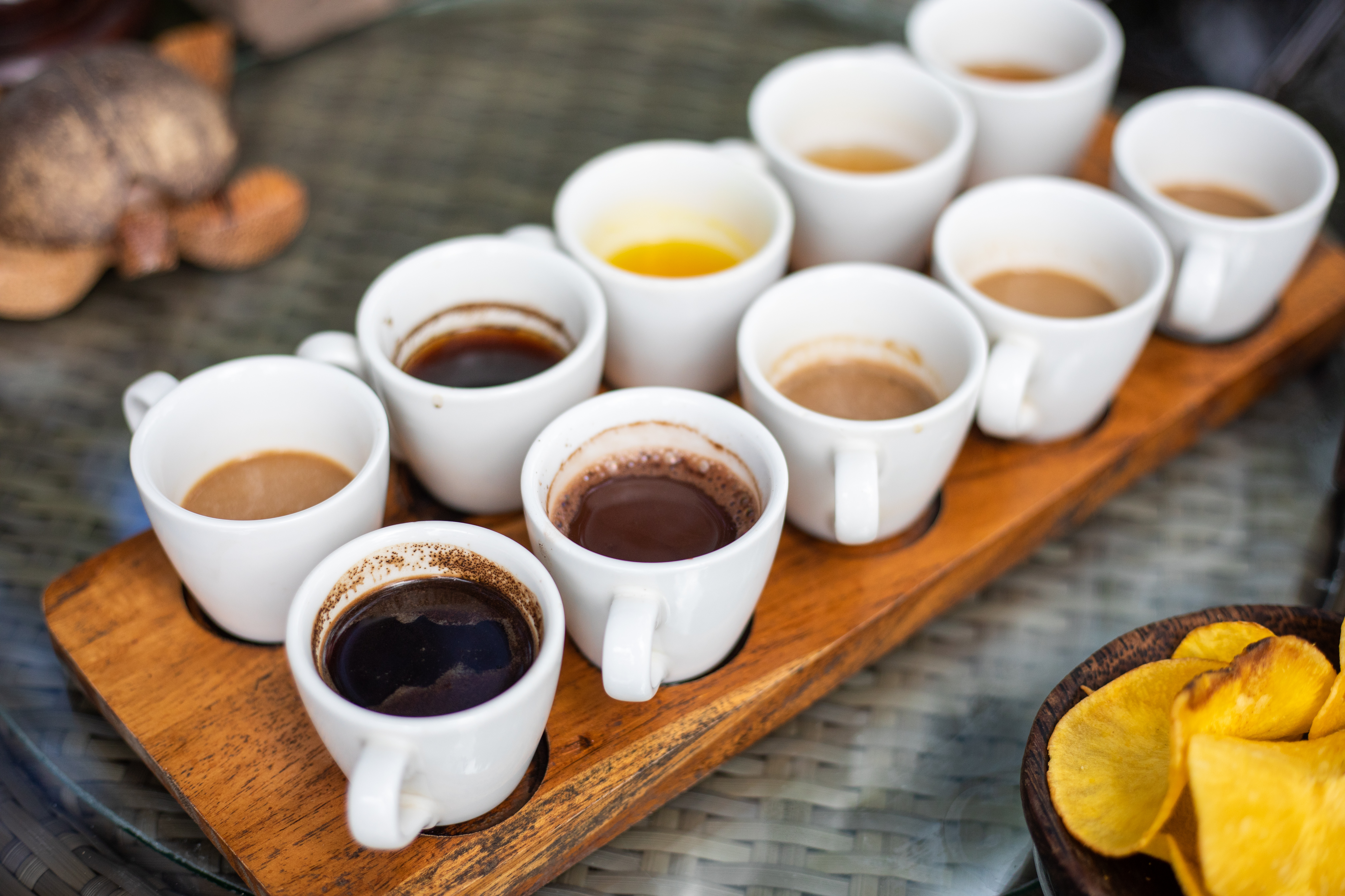 Enjoy a coffee tasting experience 