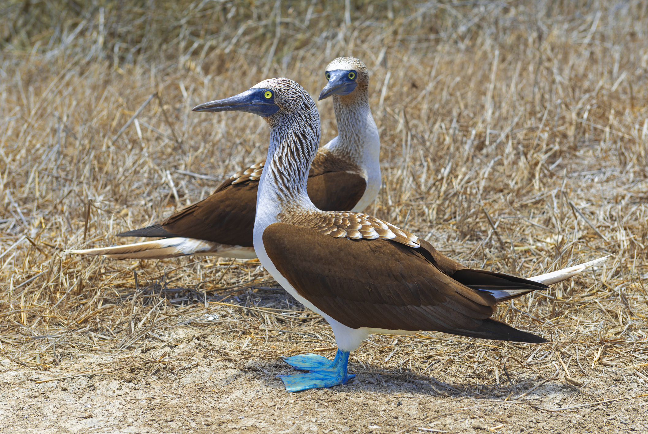 Visit the San Cristóbal Interpretation Center