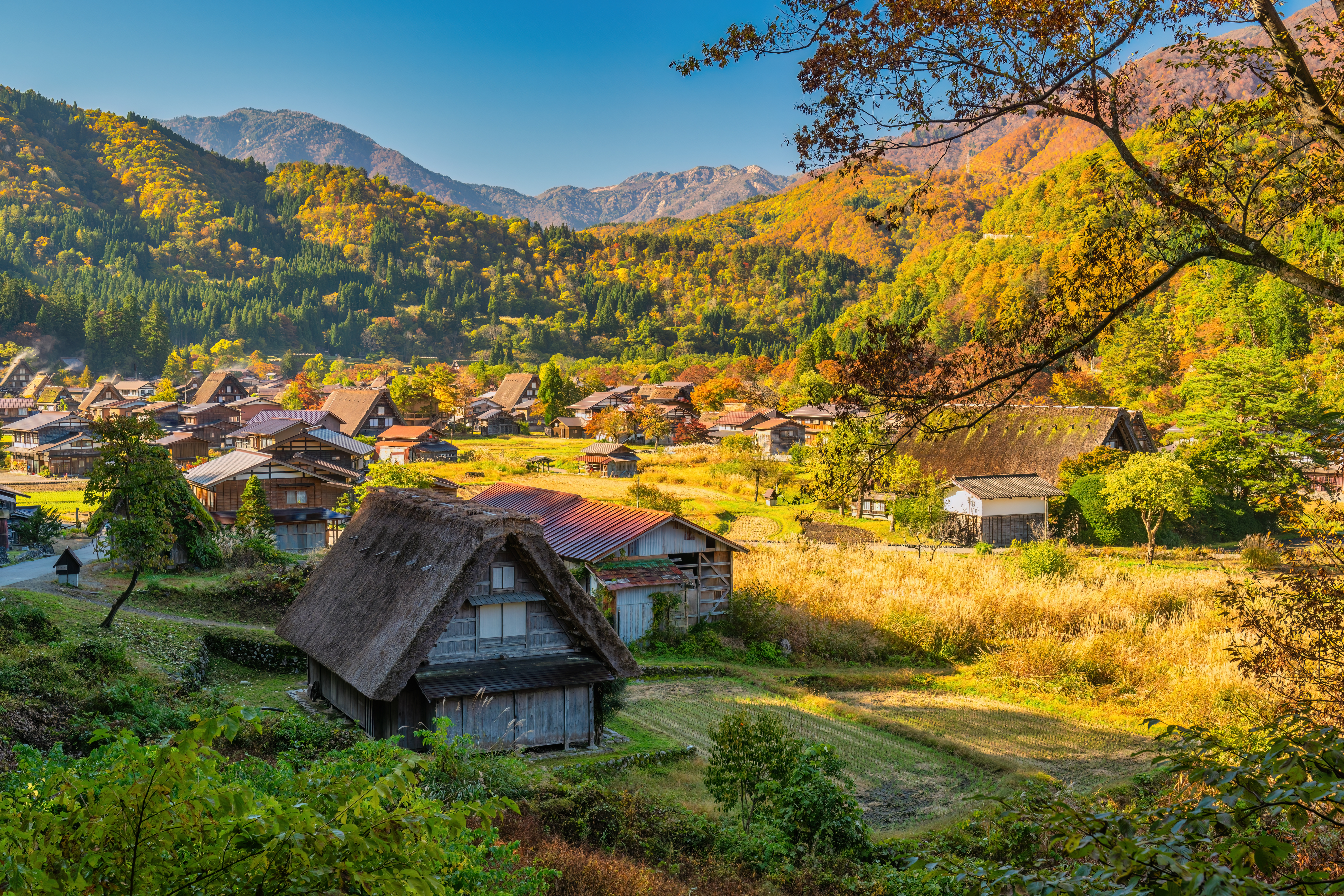 Full Day Shirakawago Excursion from Kanazawa