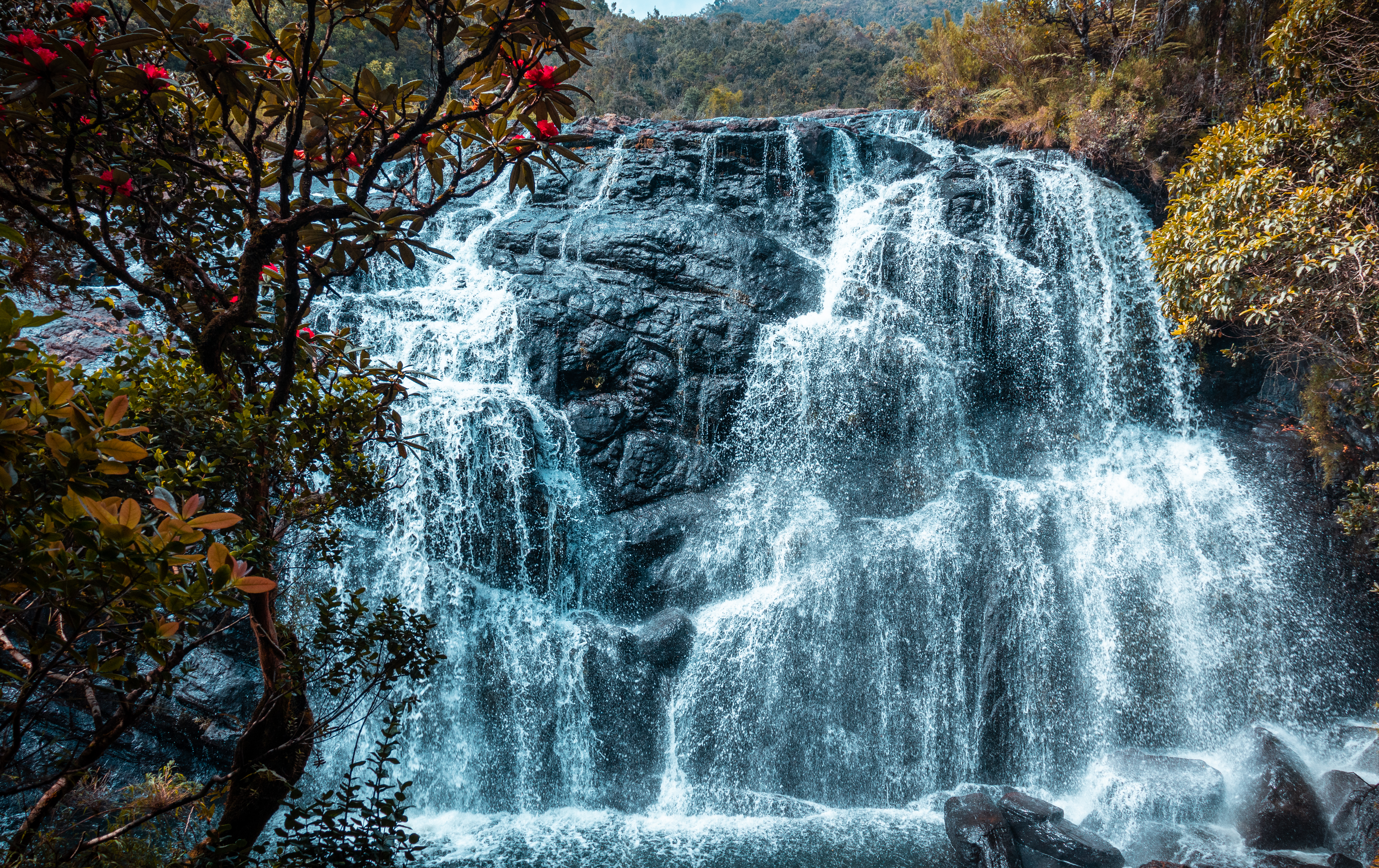 Adventure into Horton Plains National Park