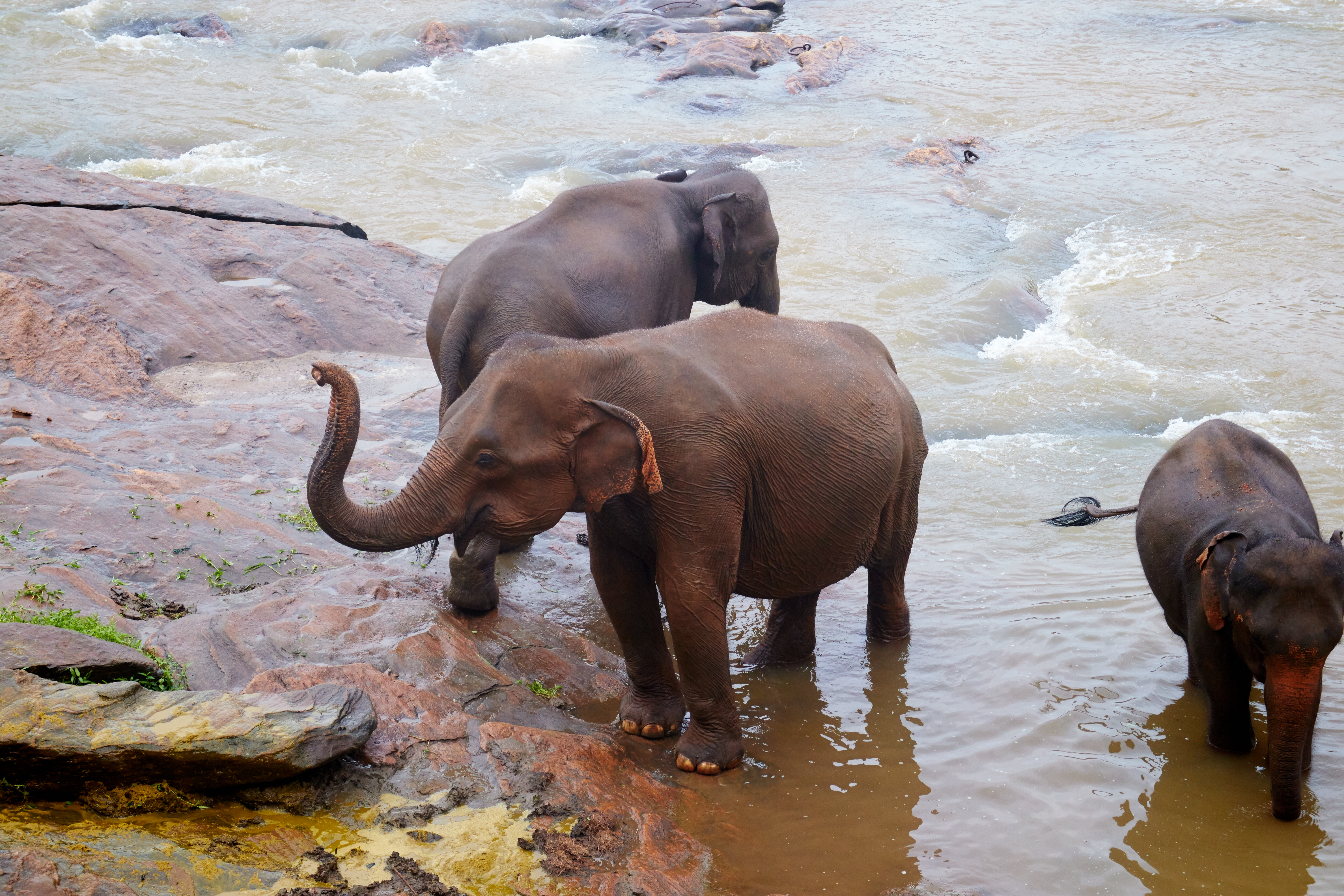A boat safari in Galaya National Park