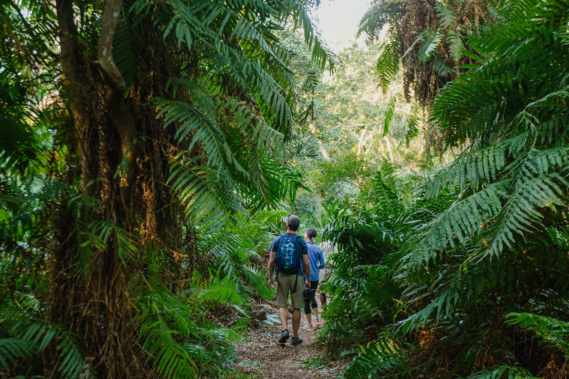  Experience a Raphia Palm Forest Walk in Kosi Bay