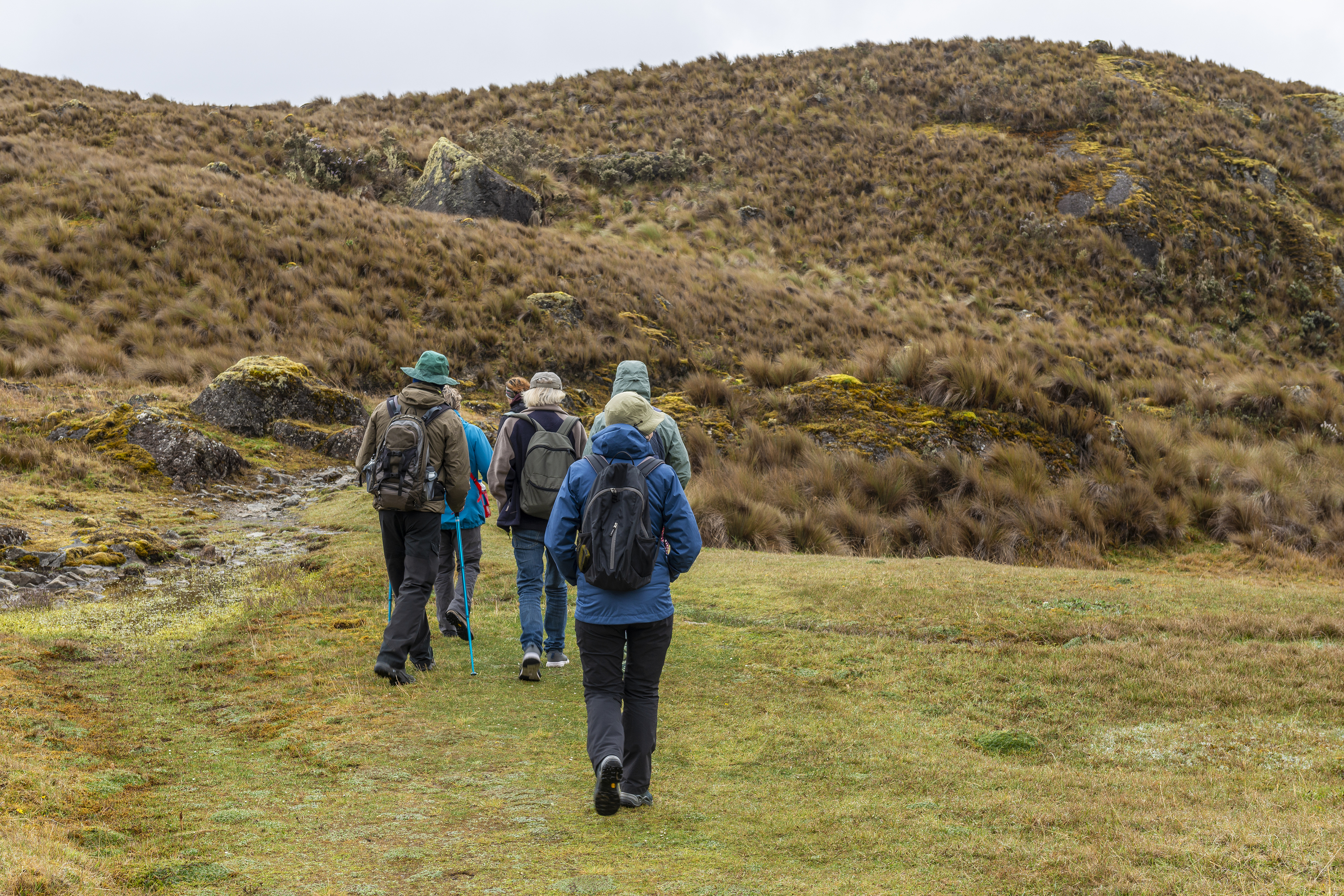 Trek or hike the mountains in San Alfonso