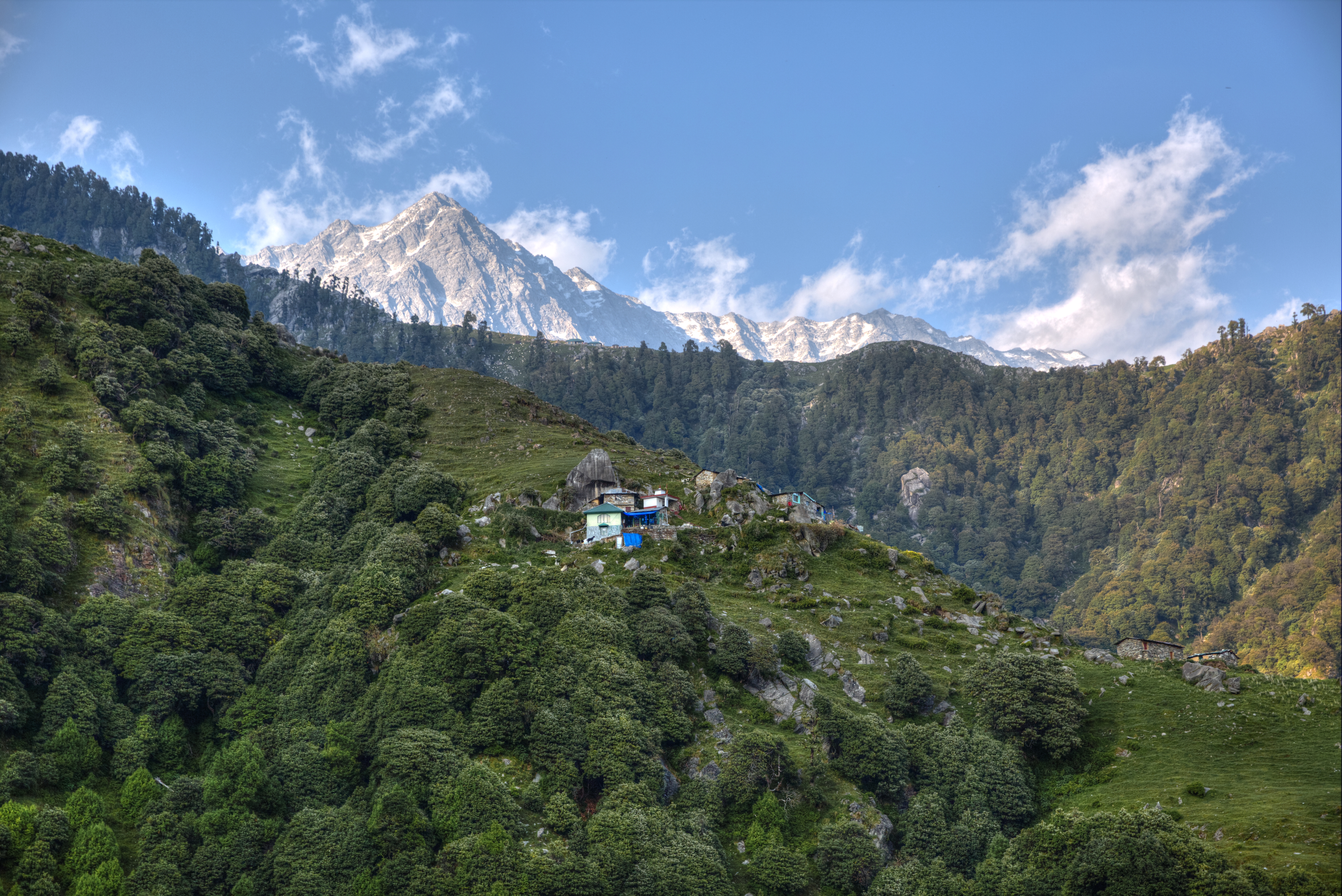 Trek through the Himalayas on a full-day hike to Triund