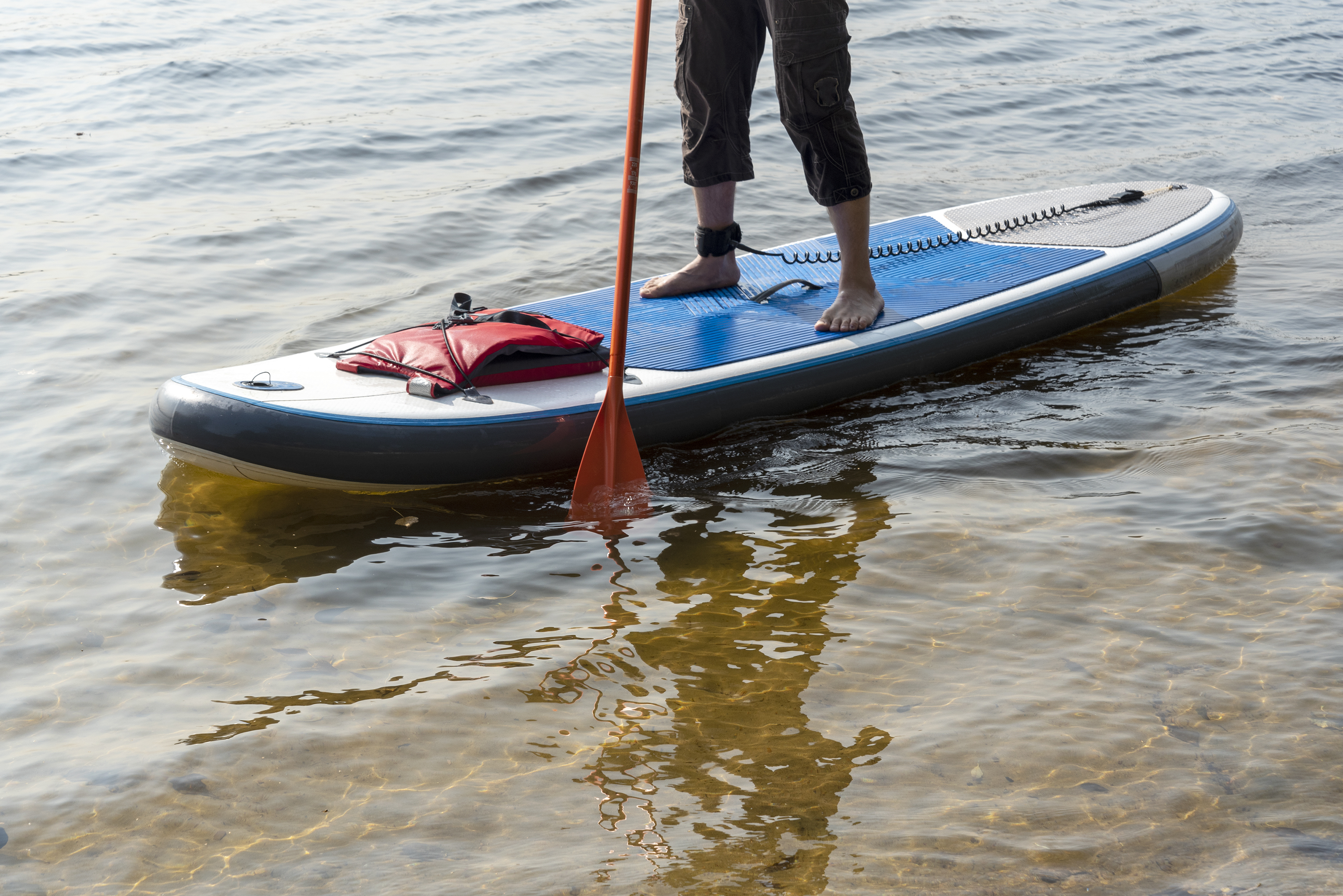 Go stand up paddleboarding in Zandvlei Estuary