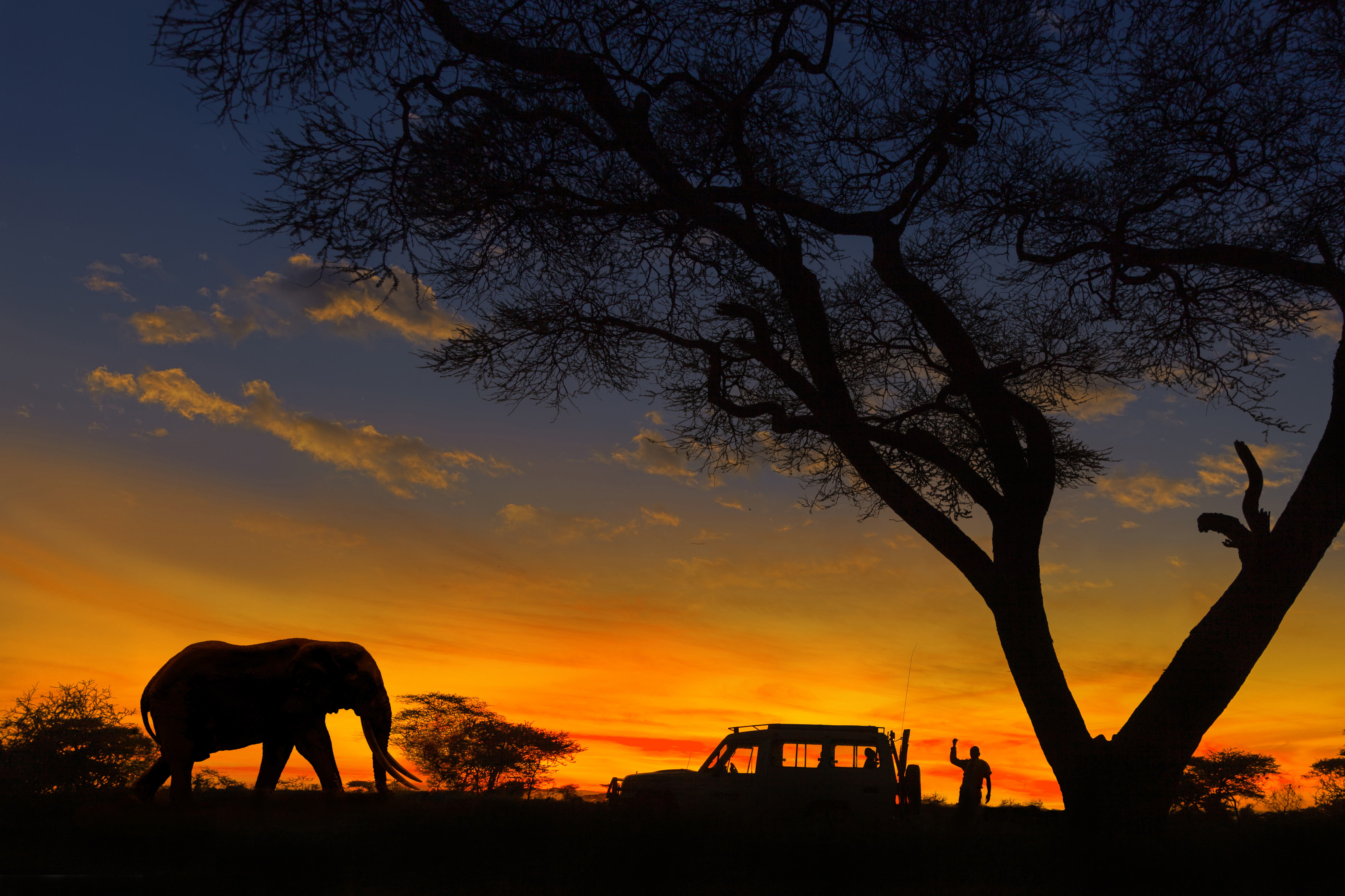 Experience the wildlife in Northern Kruger at dusk