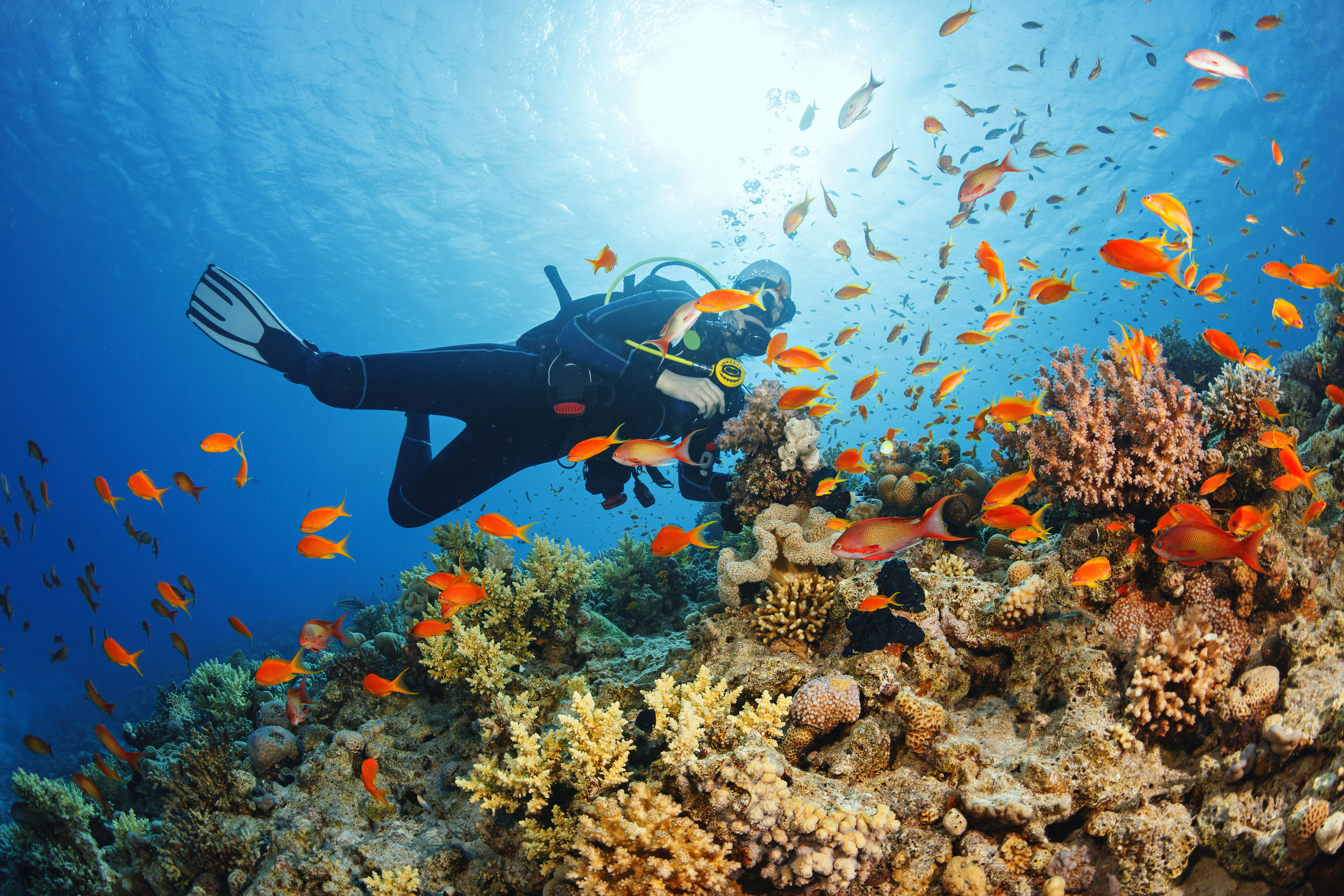 Go on a scuba diving adventure in Príncipe