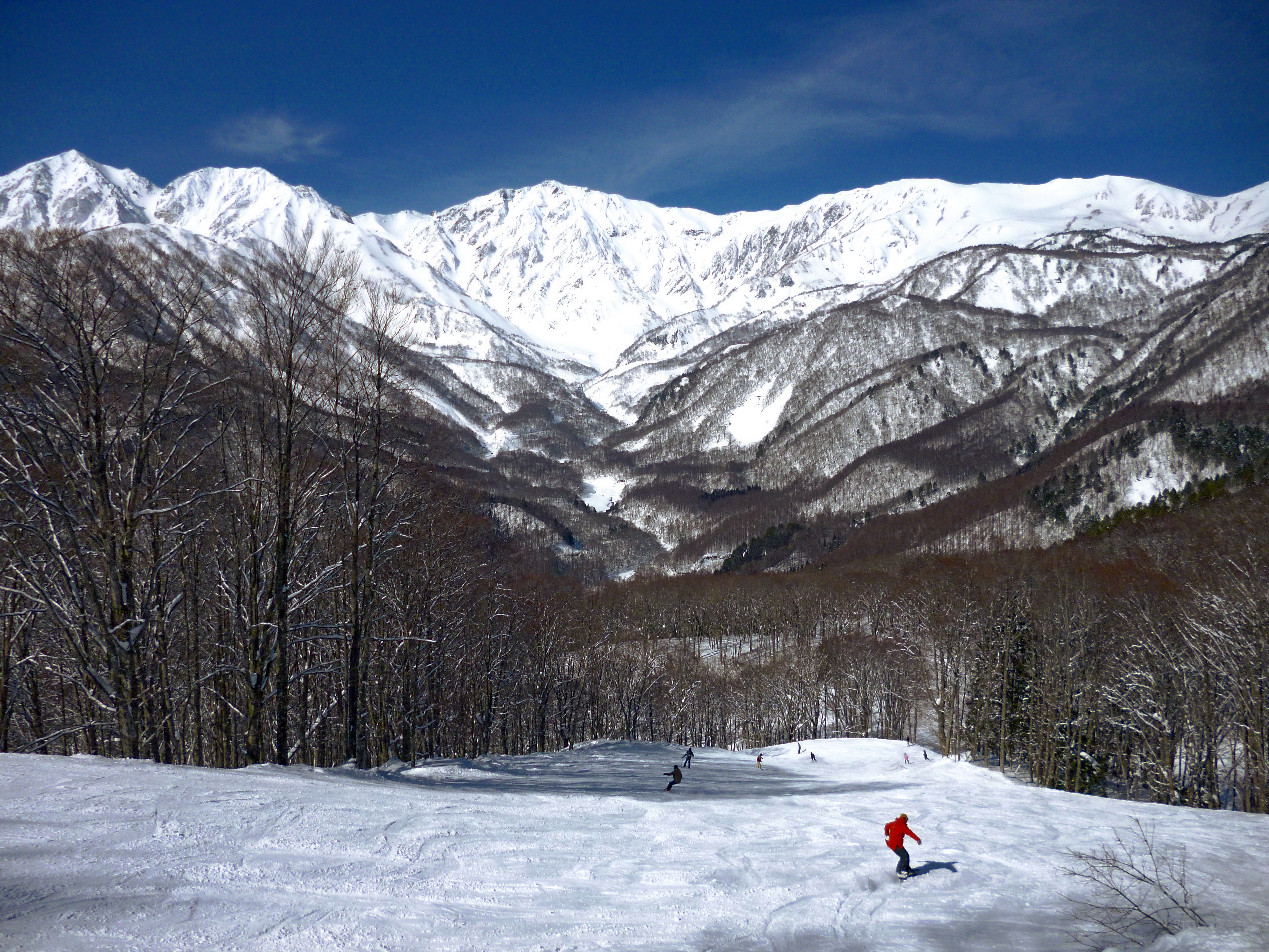 Ski world class powder in Hakuba's alpine paradise
