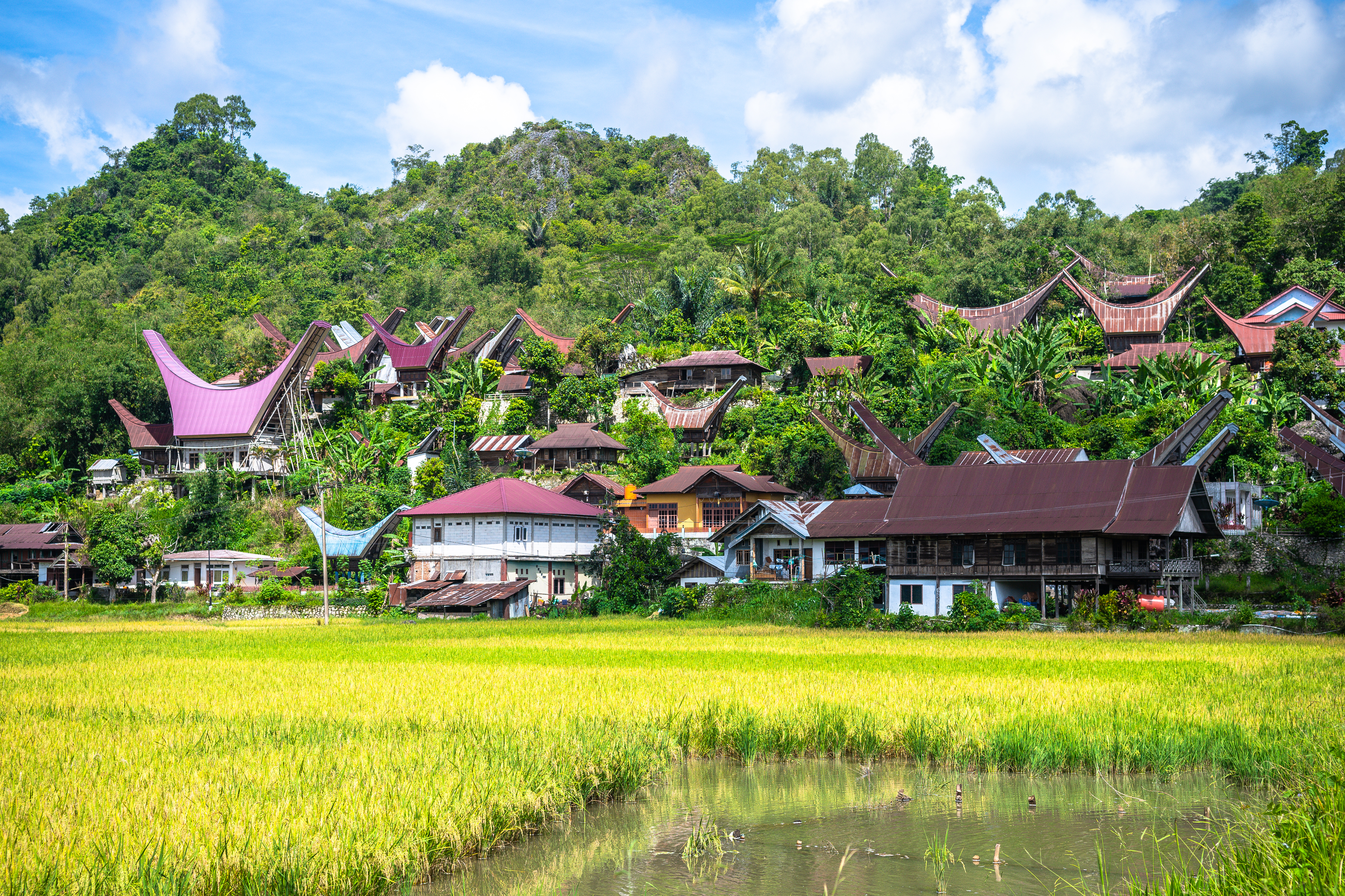 Explore the small villages of Toraja