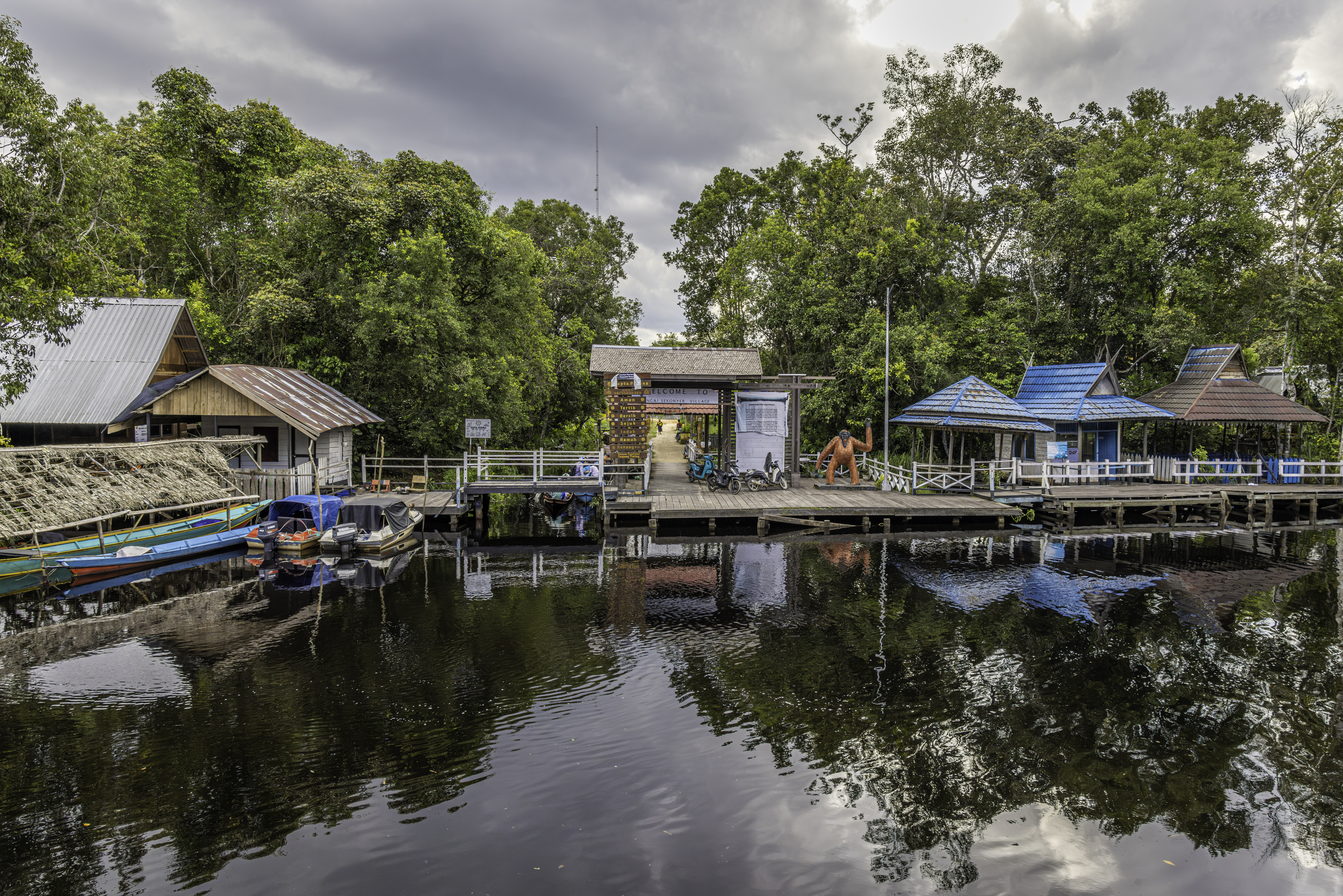 Observe the daily activities of a local village