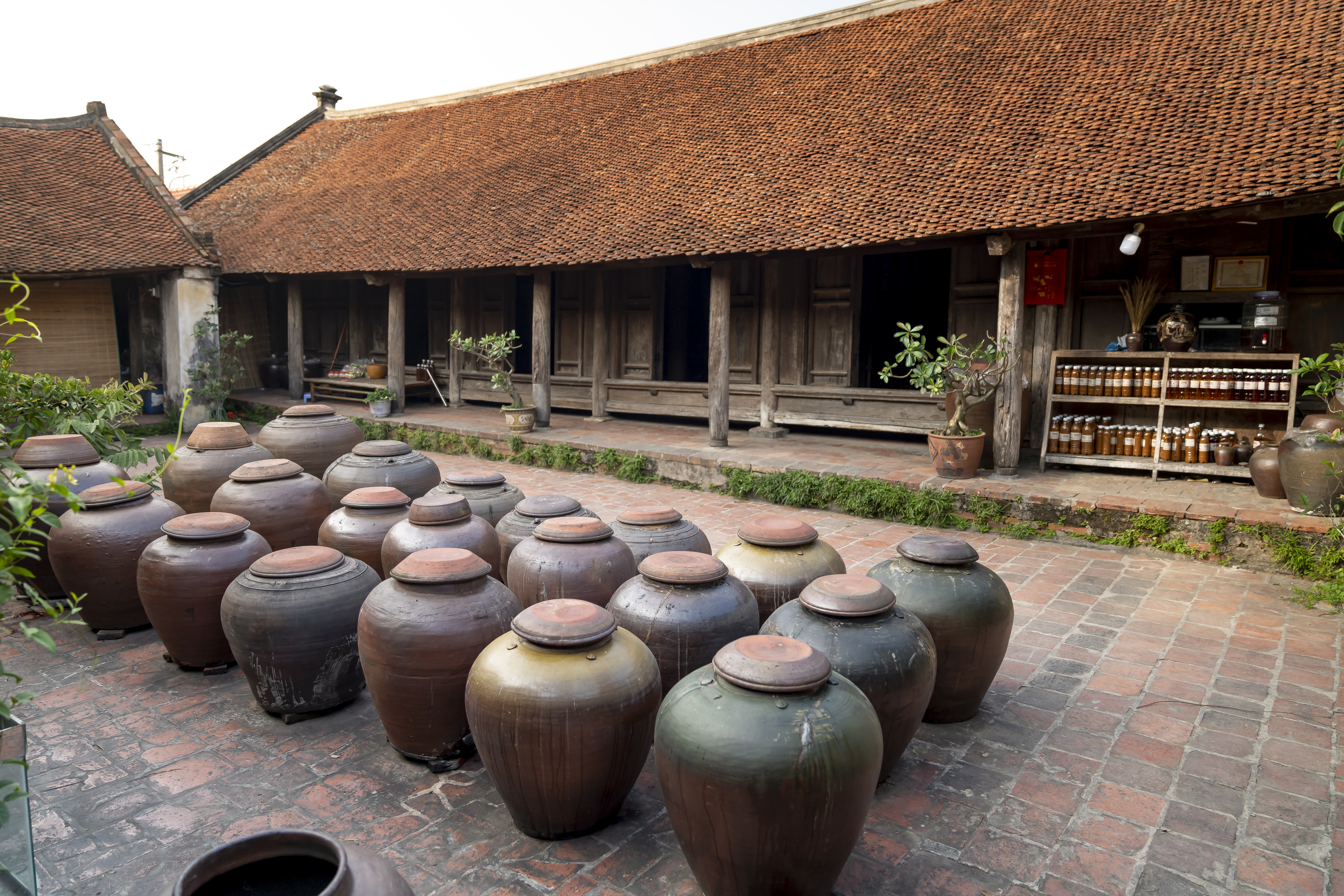 Explore Duong Lam Ancient Village & Mia Pagoda