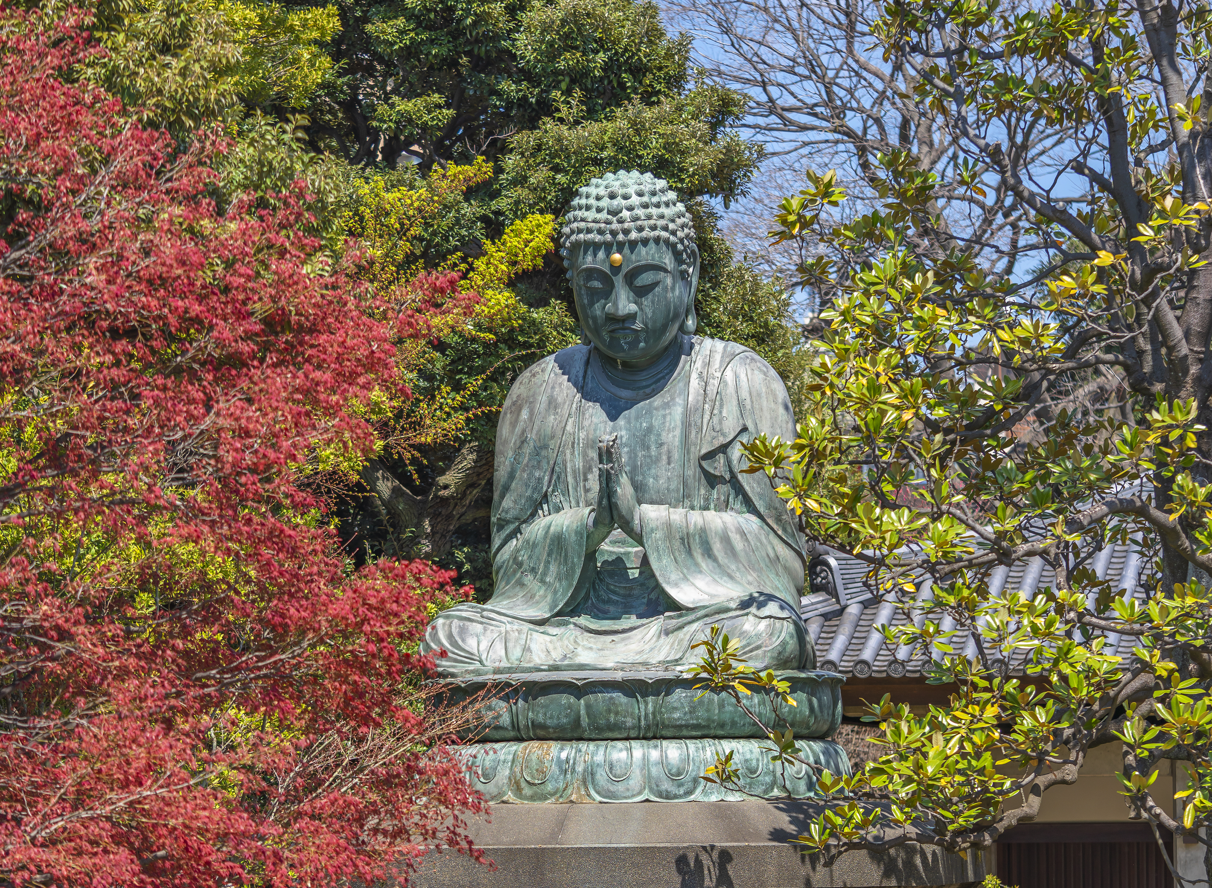 Visit the Tennōji Temple in Tokyo