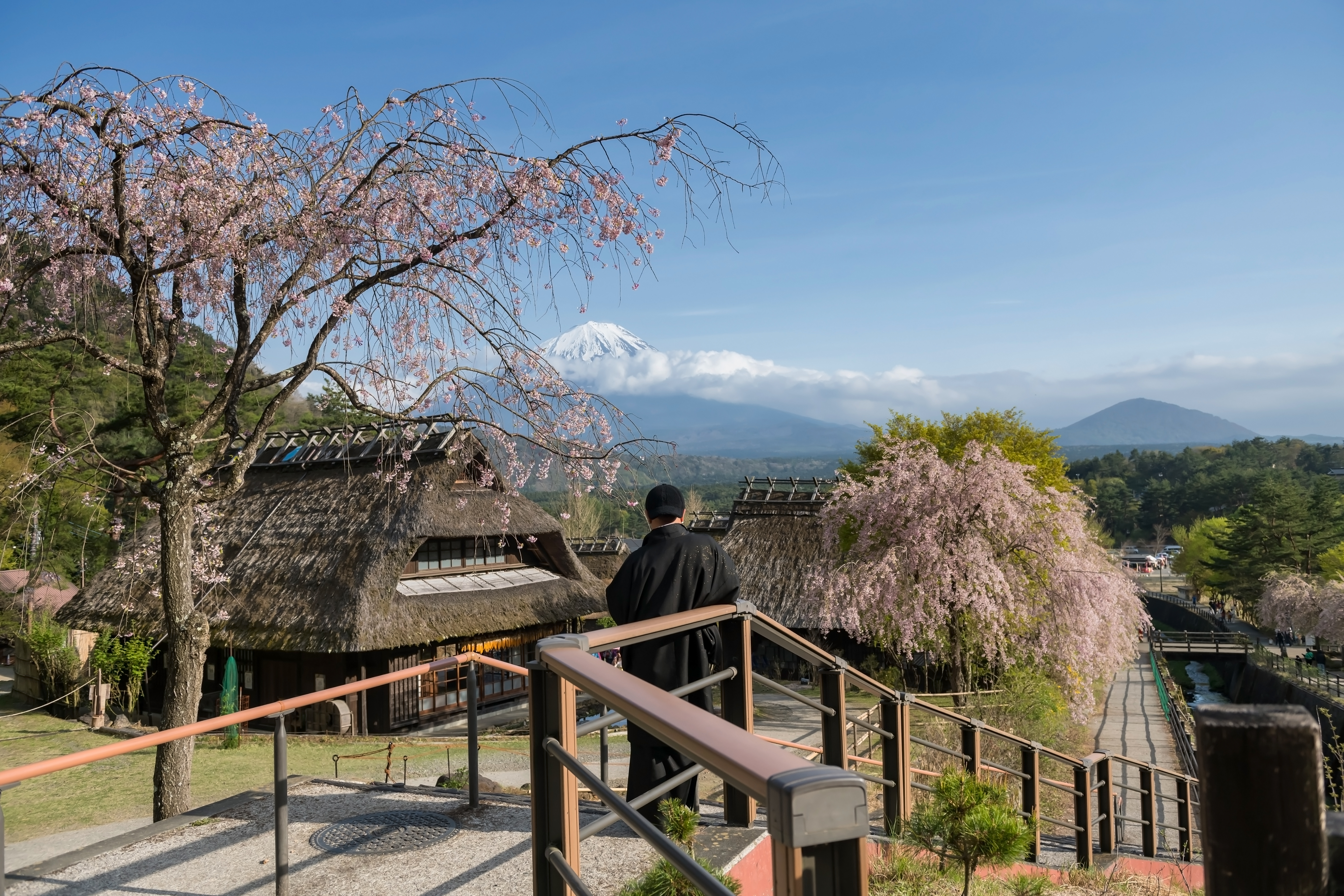 Visit the Saiko Iyashi no Sato Nenba near Tokyo