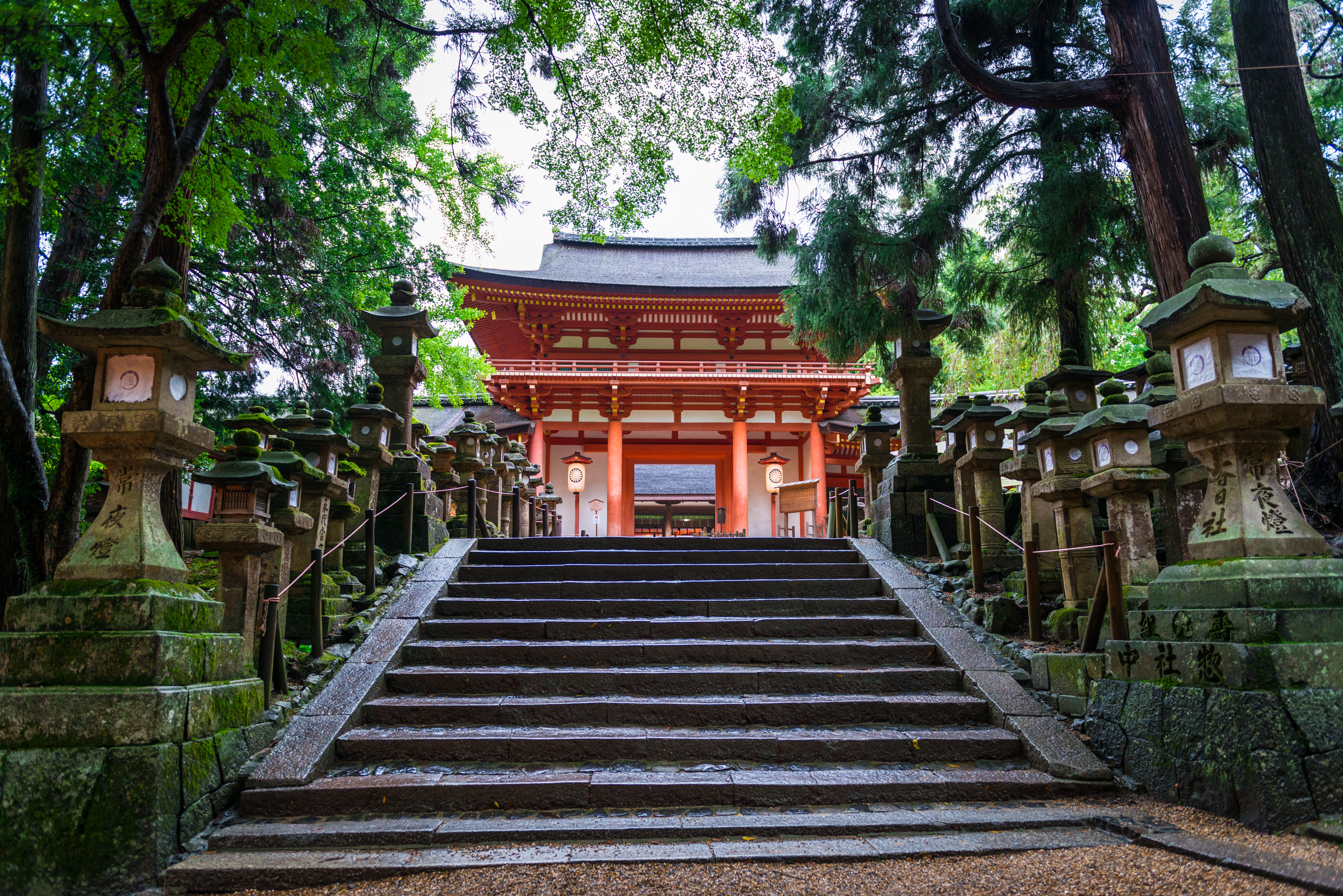 Take a walking tour in Kasuga Taisha Shrine, Kyoto