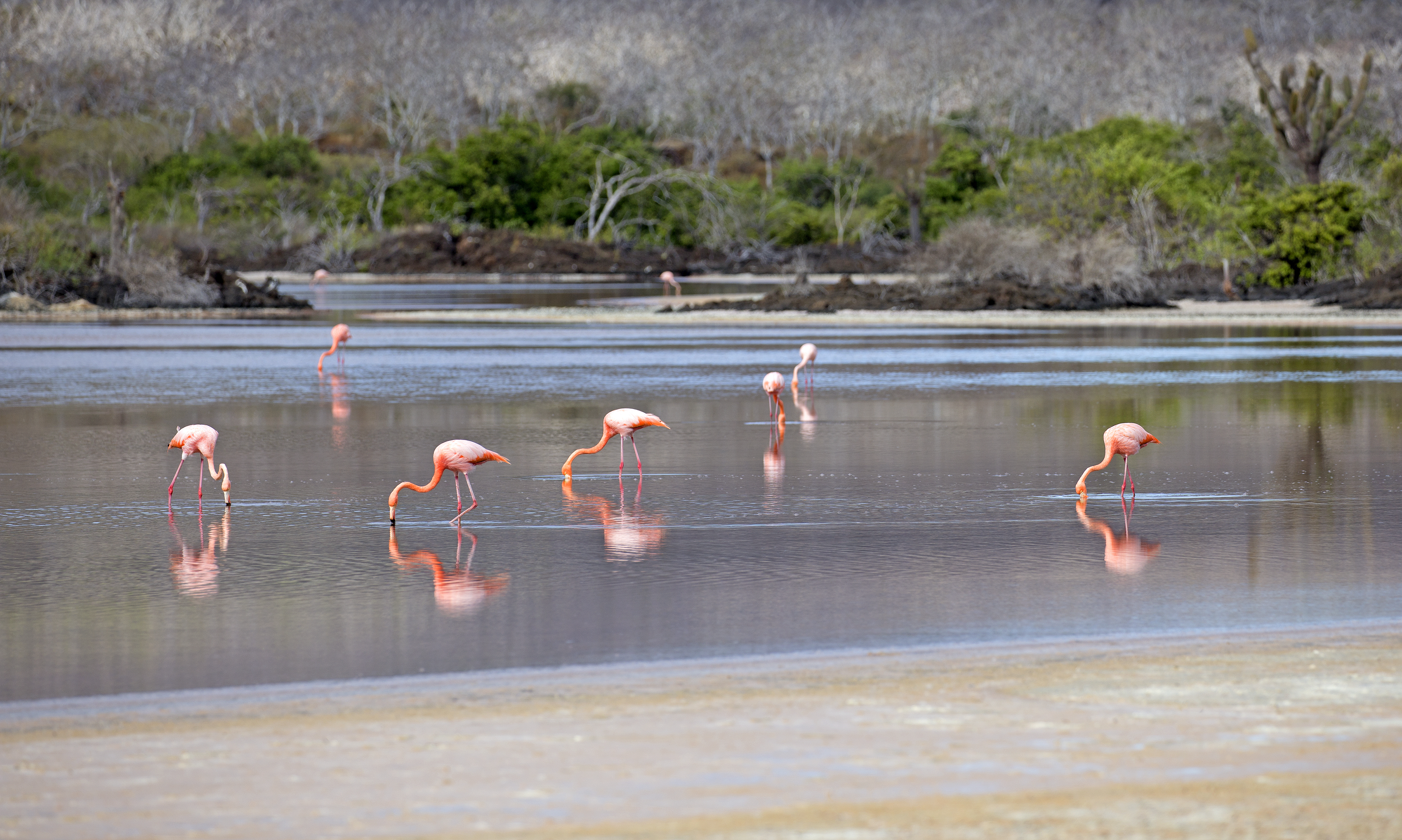 Explore the beaches in Cormorant Point