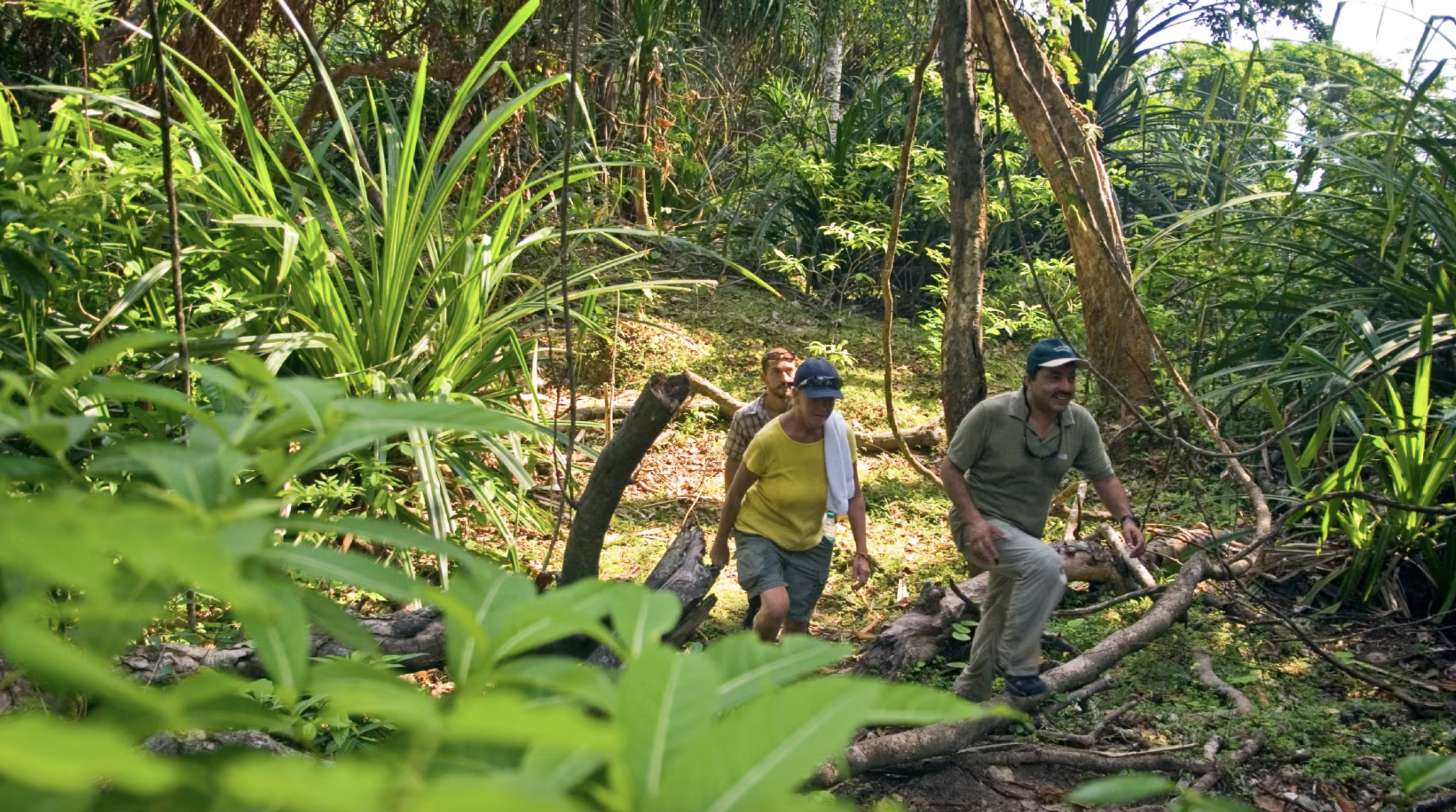 Hike the trails of Andaman Islands