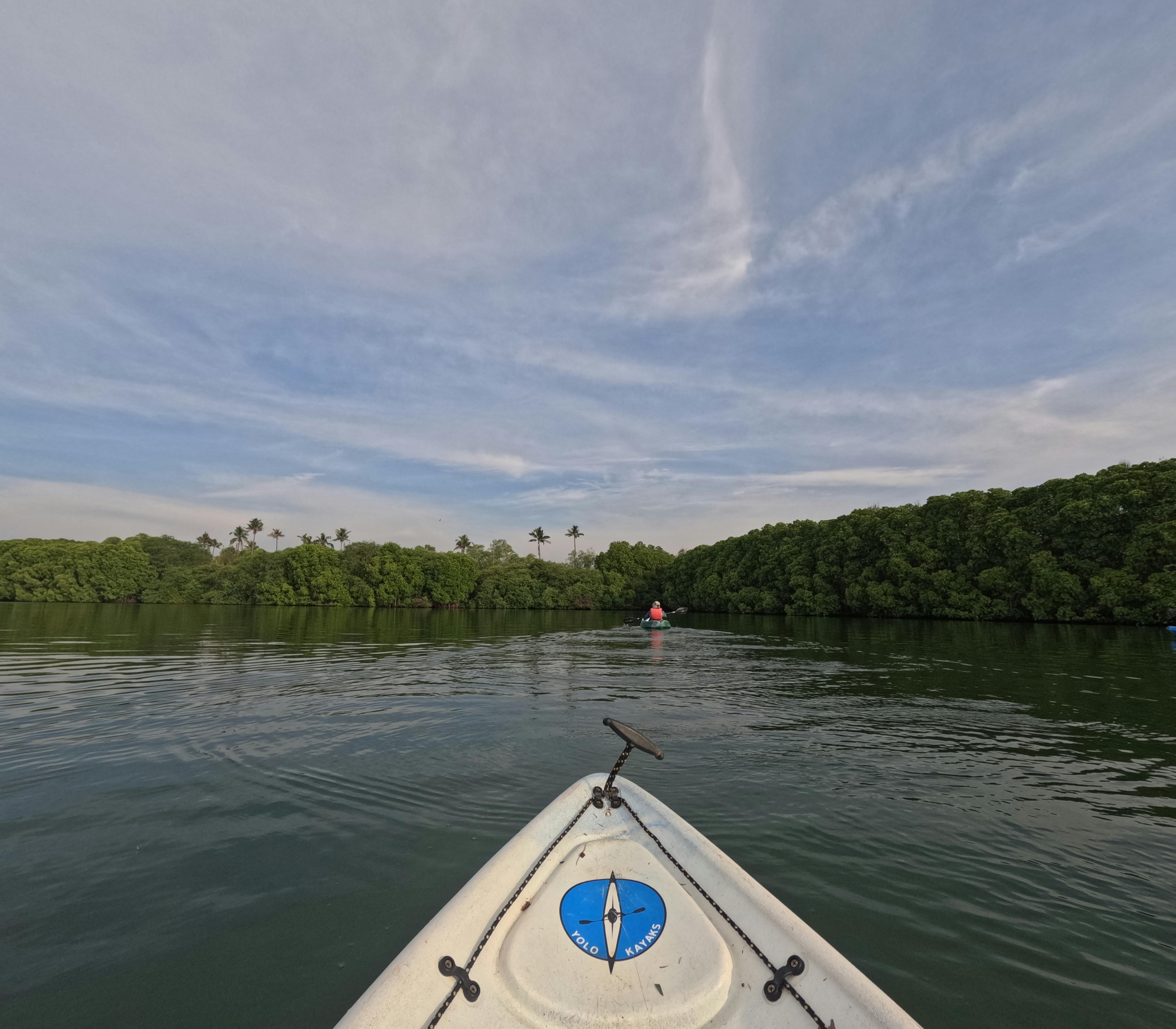 Kayak through the mangroves of Havelock
