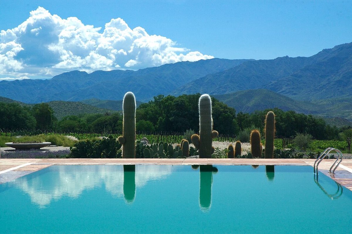 Try one of Argentina's old wineries, Bodega Colome