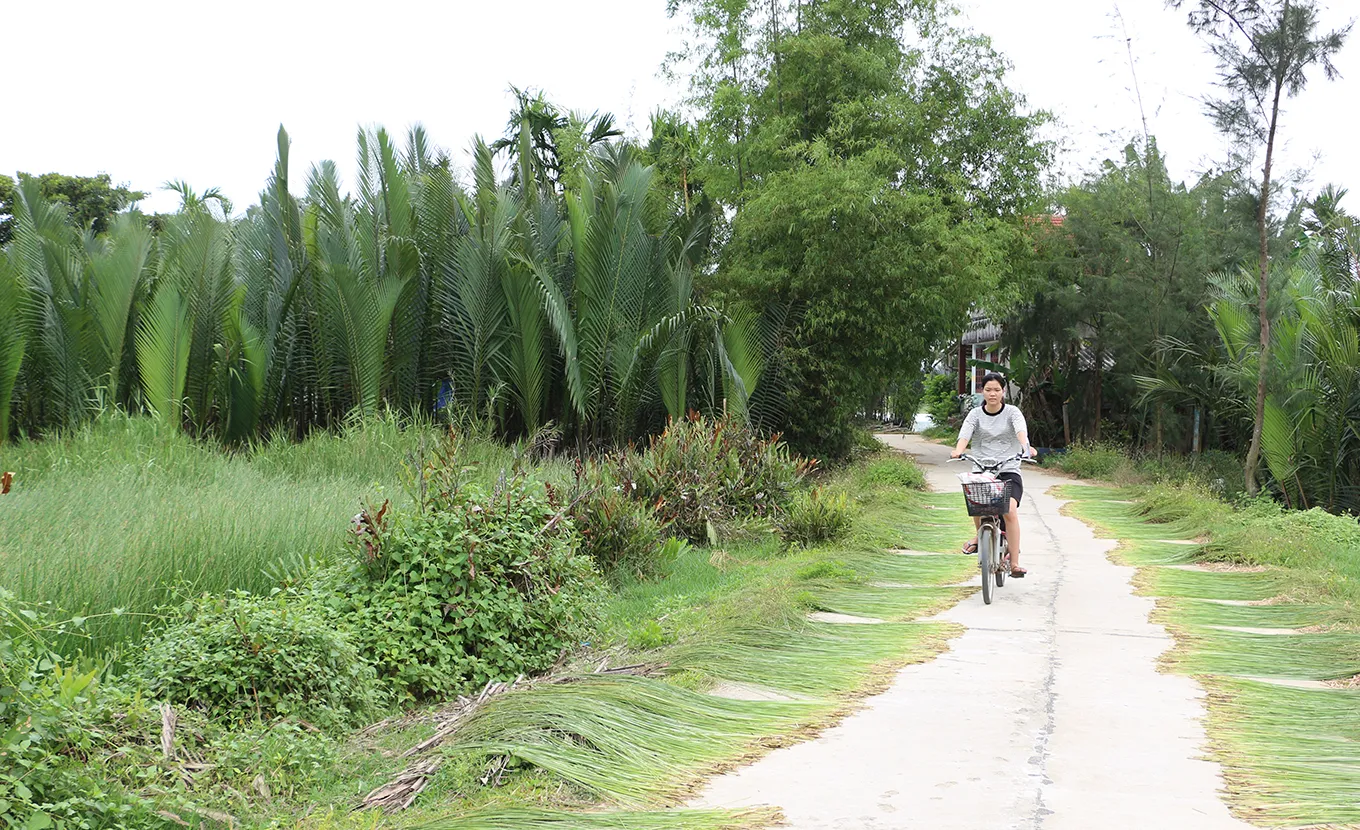 Discover the traditional life in the Go Noi Village