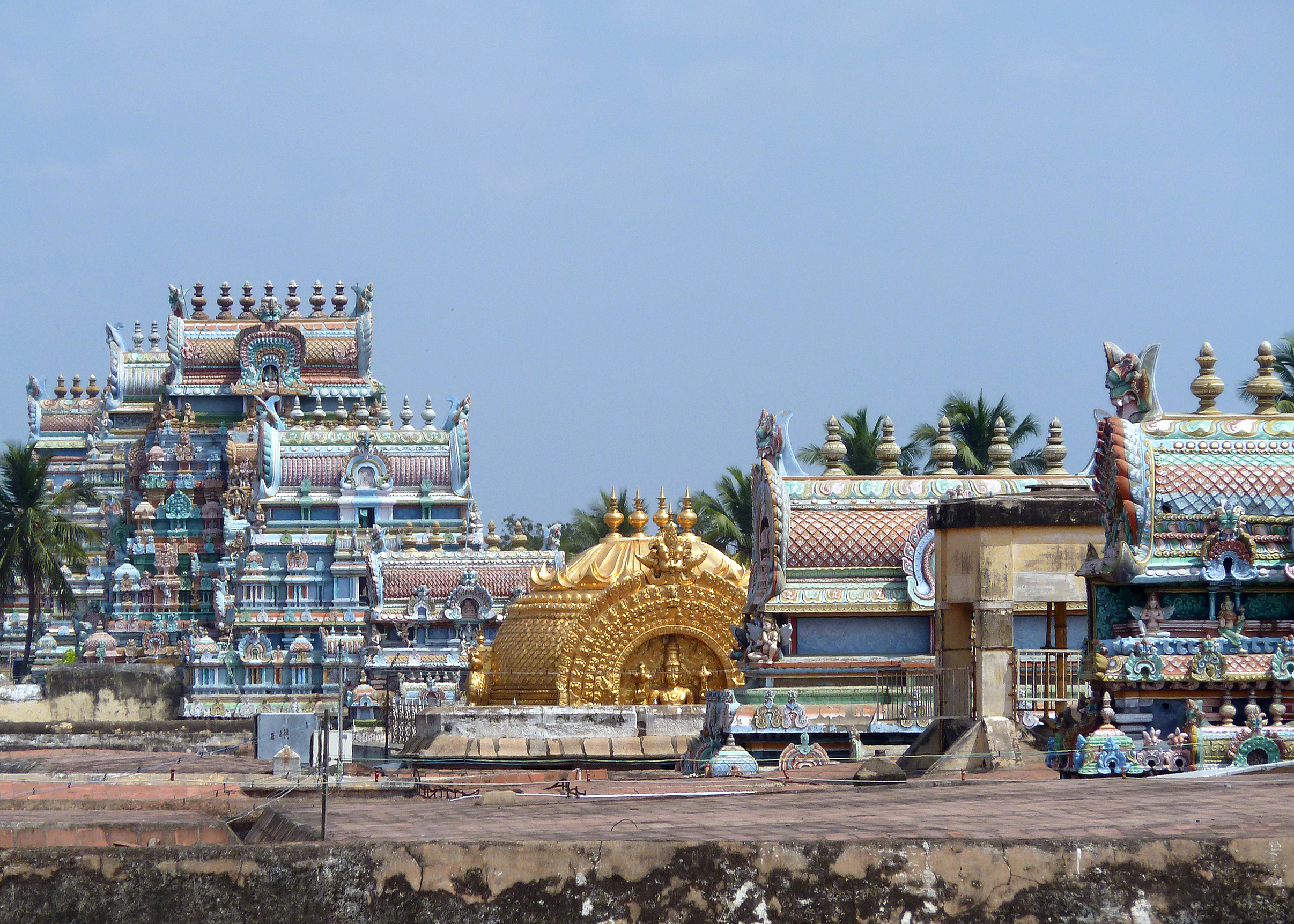 Visit the Sri Ranganatha Swamy Temple